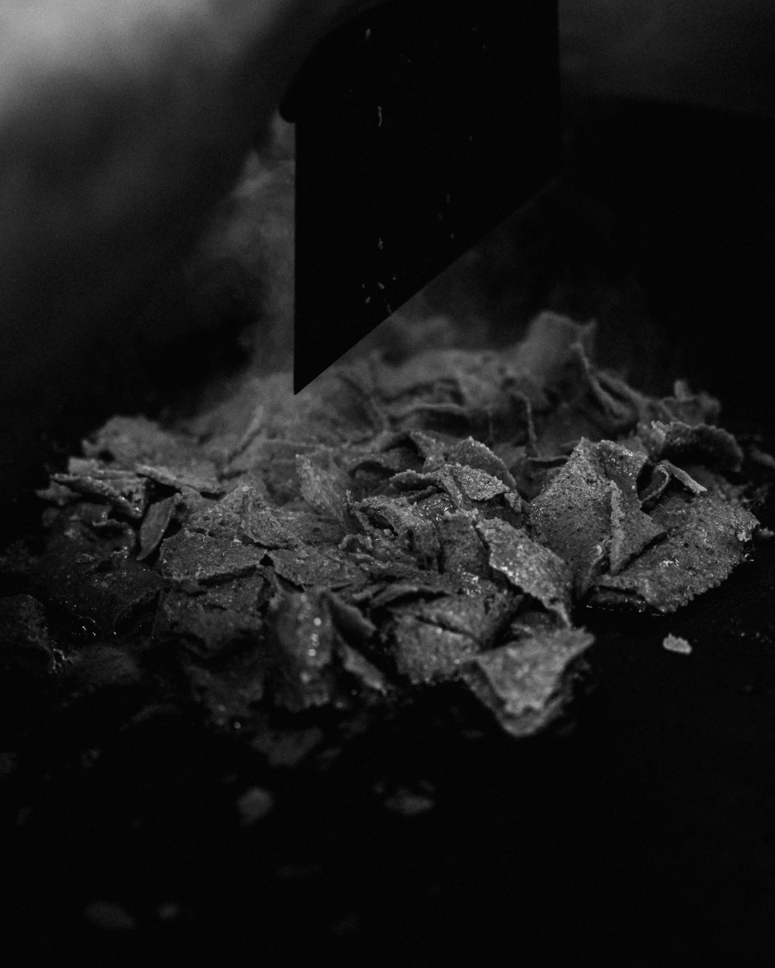 fw-14.jpg