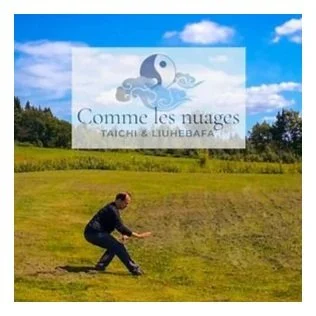 Tai Chi Workshop with guest instructor Hubert Gagnon