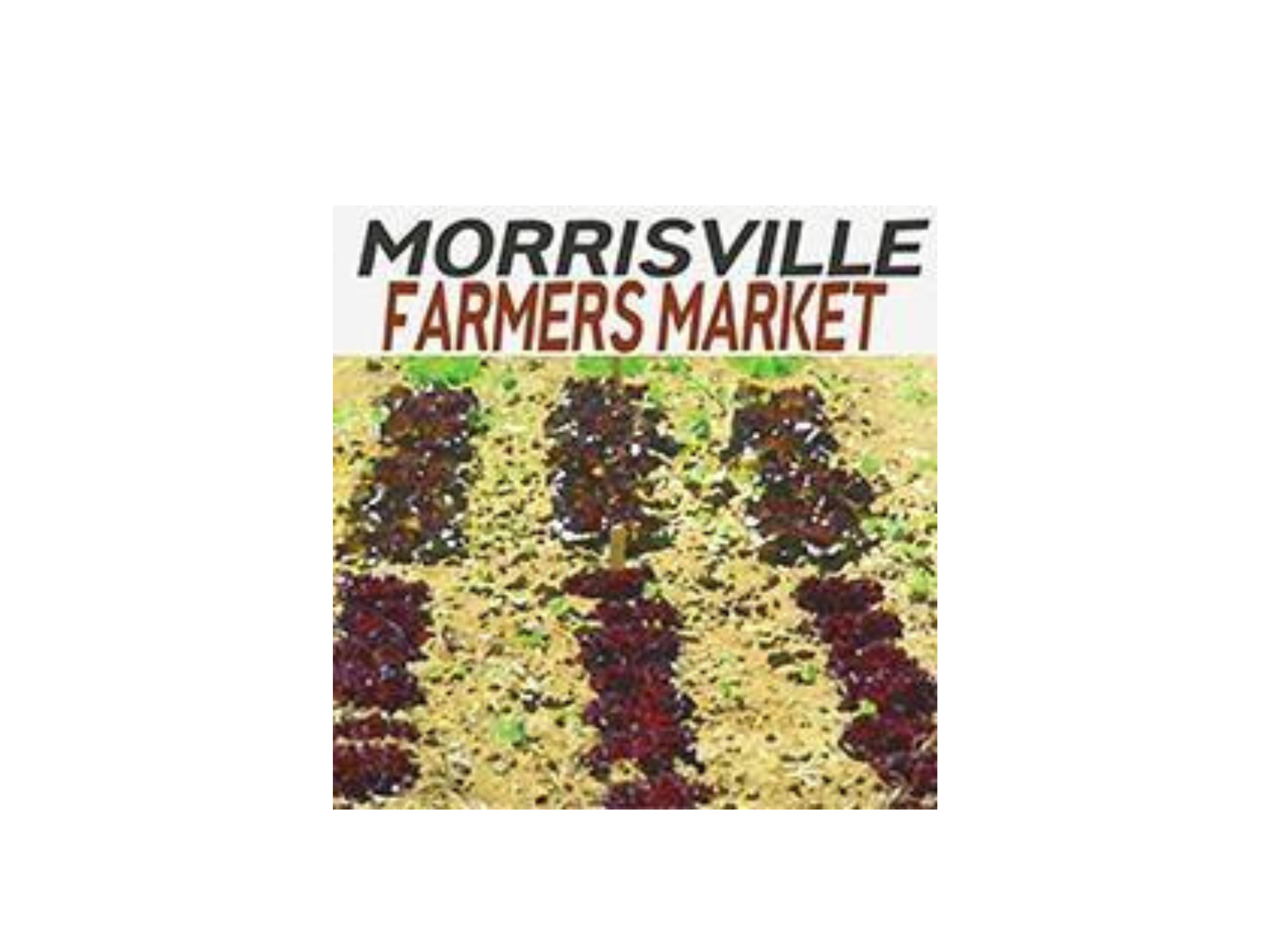 Morrisville Farmer’s Market