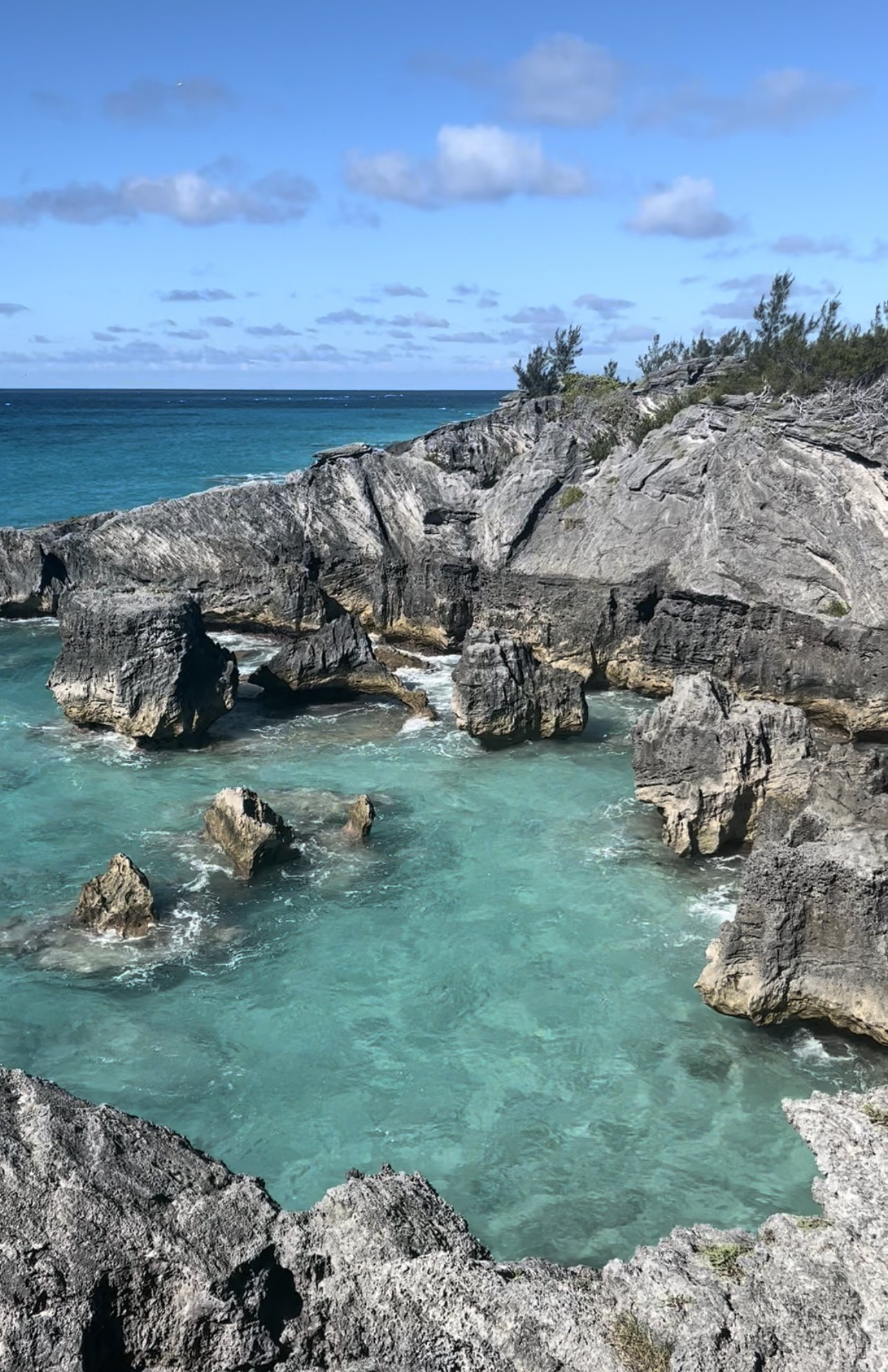 Bermuda-coves.jpeg