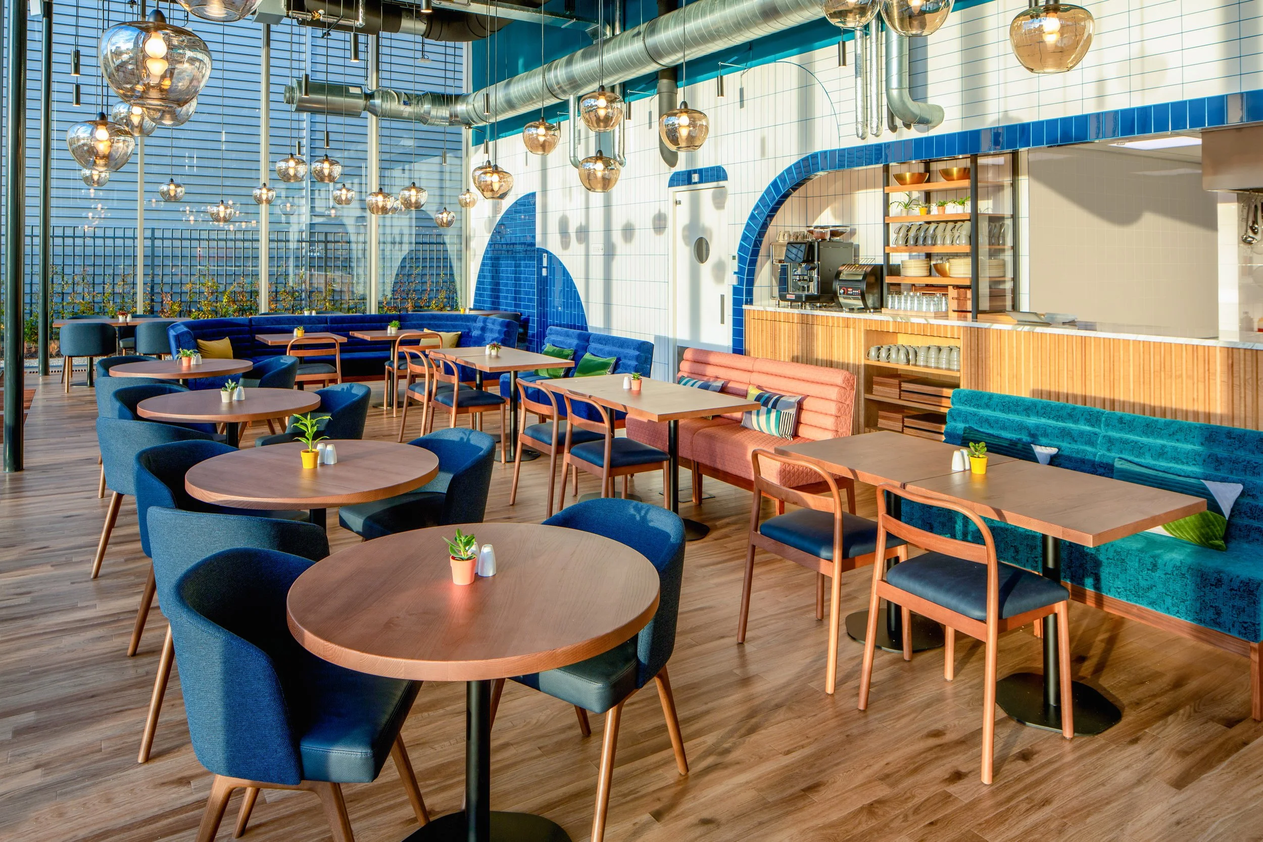 AMN_N18.jpg