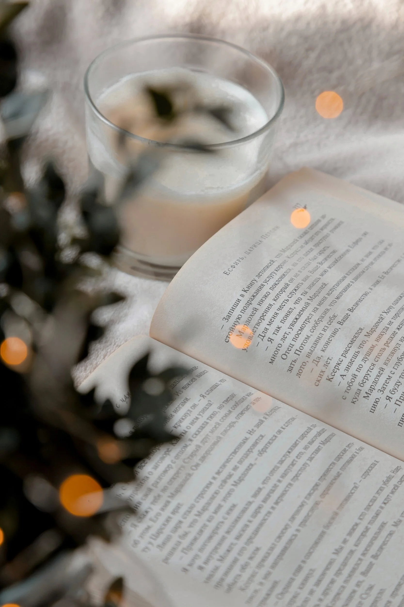 Book Recommendations Readers Will Love