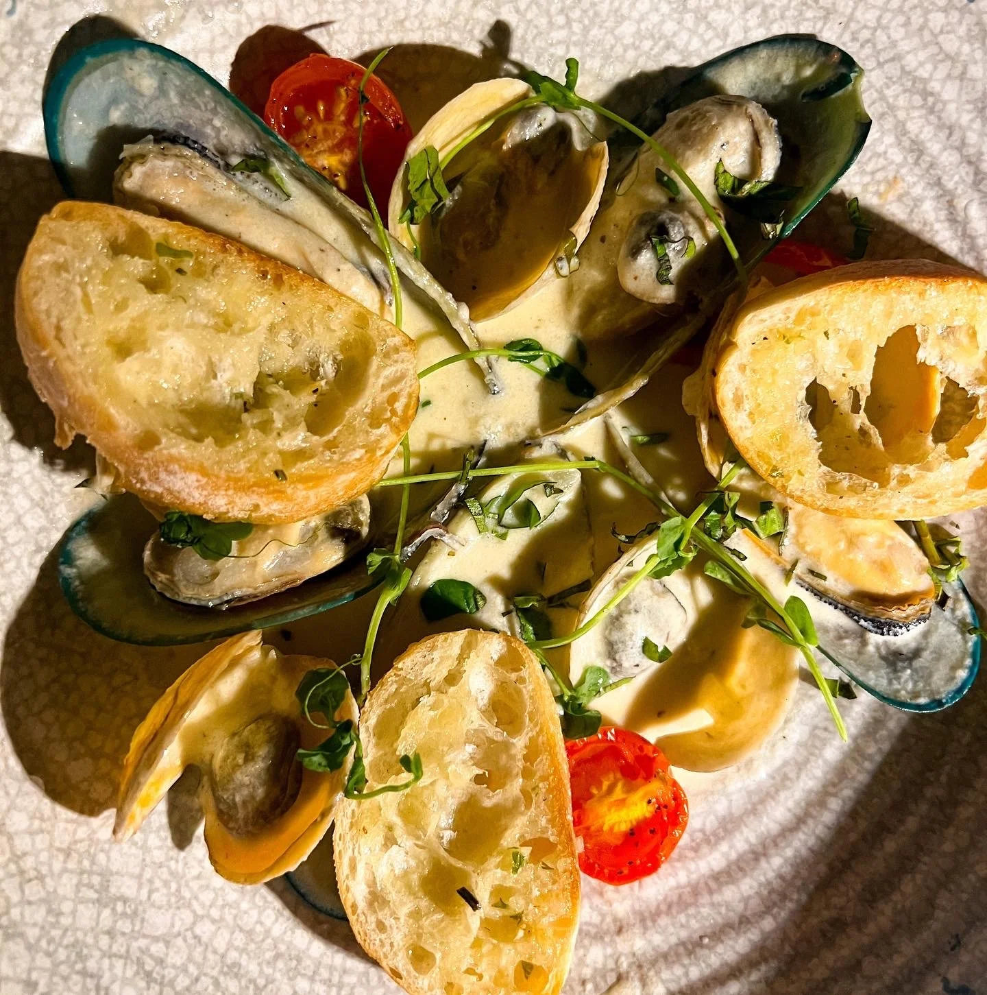 bella-magazine-blue-waters-resort-13