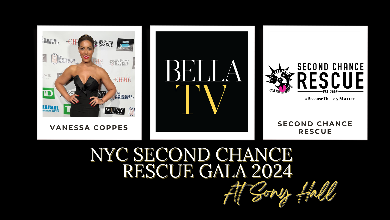#BELLATV Red Carpet at the Second Chance Rescue Gala 2024