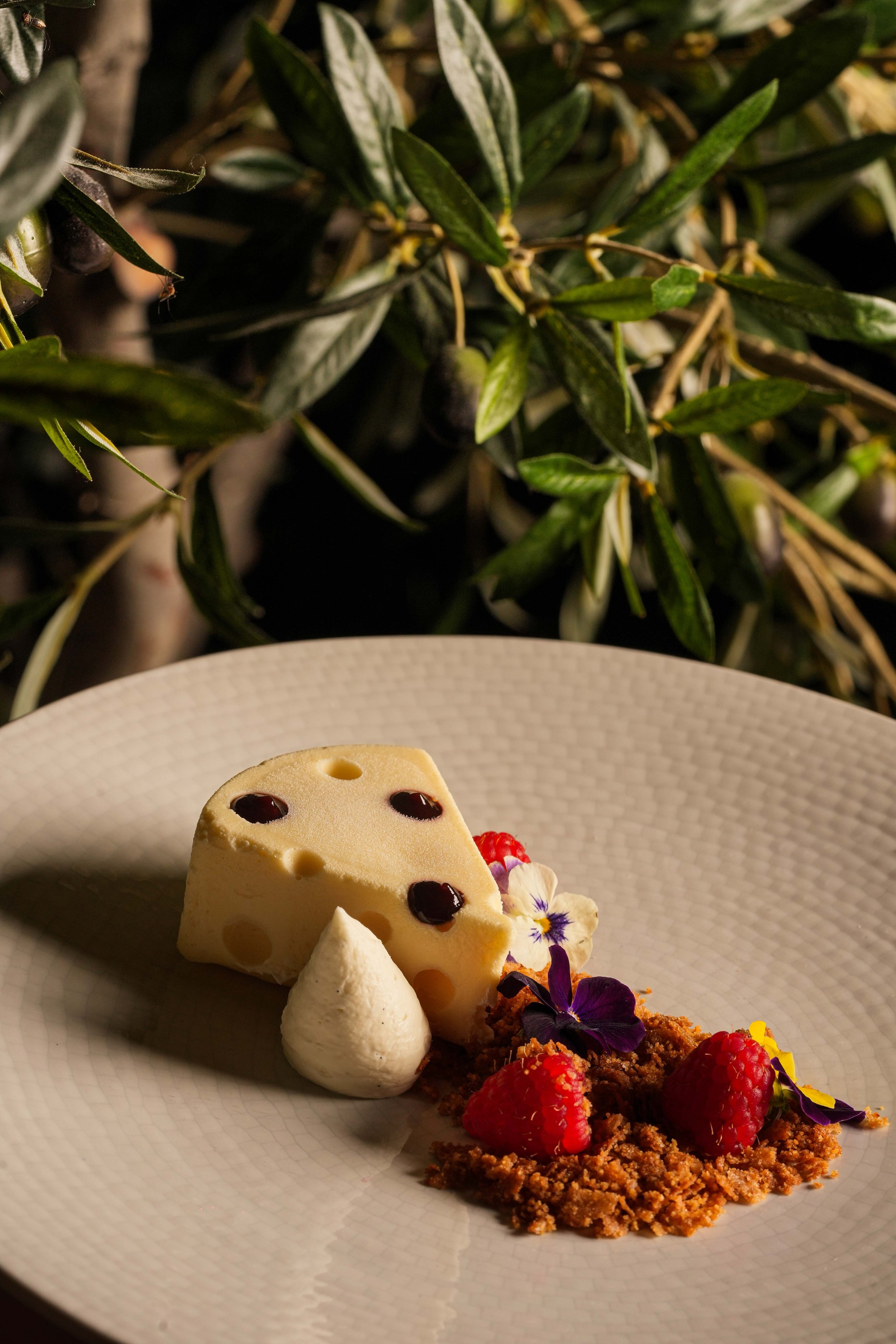 AHUMARIMG_3733 2.JPG