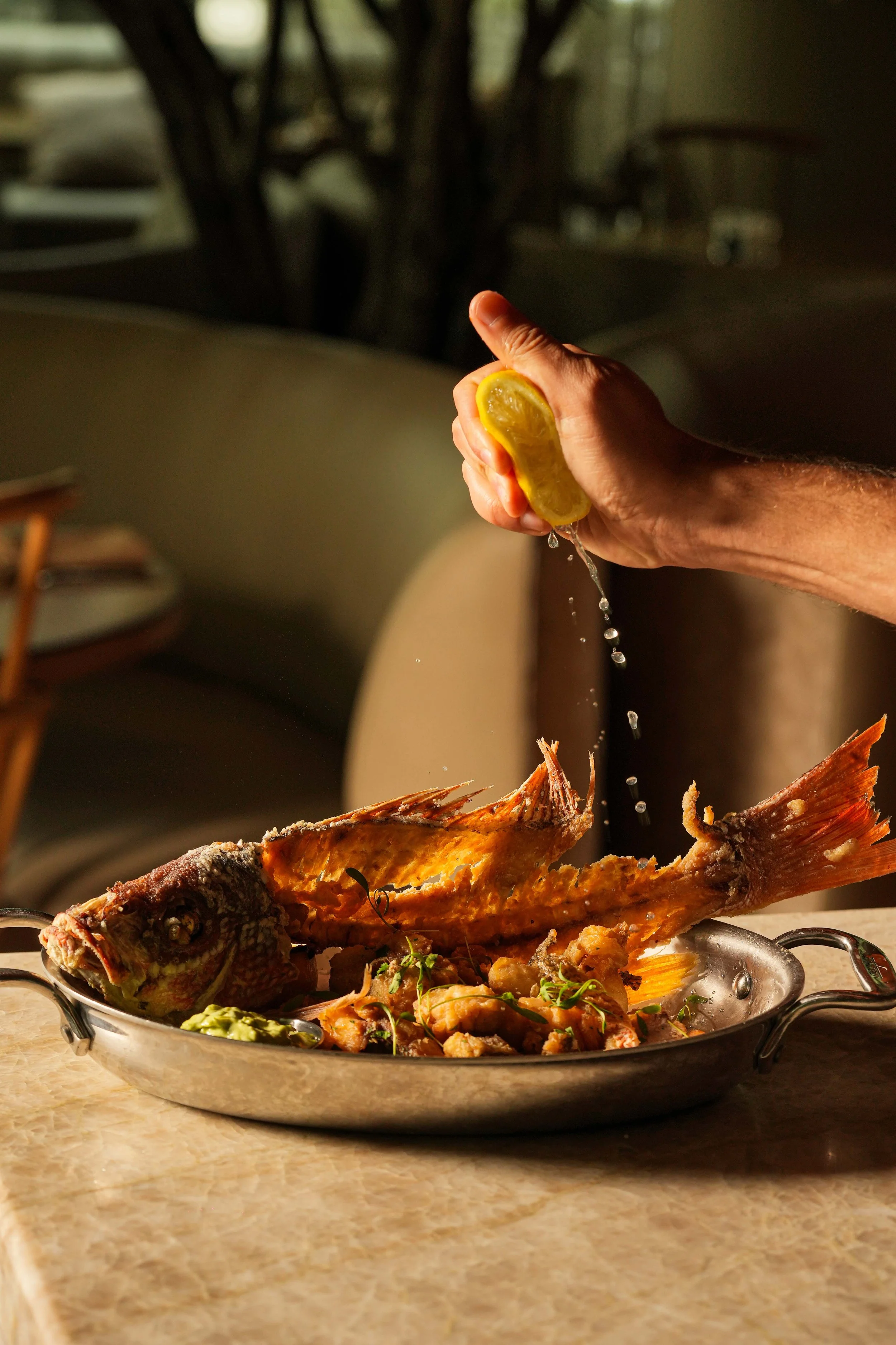 AHUMARIMG_3735 2.JPG