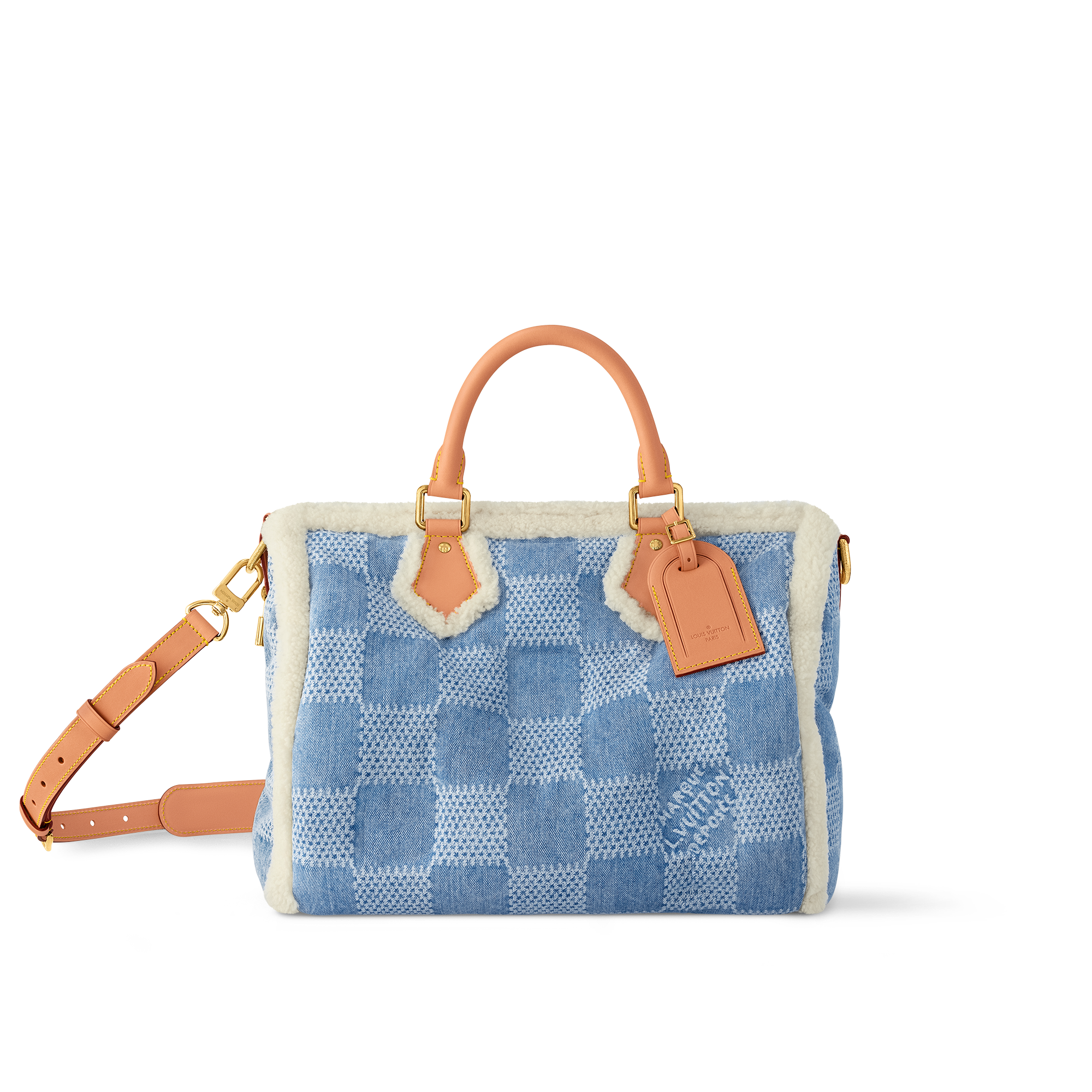 LOUIS VUITTON SKI CAPSULE SPEEDY 40.png