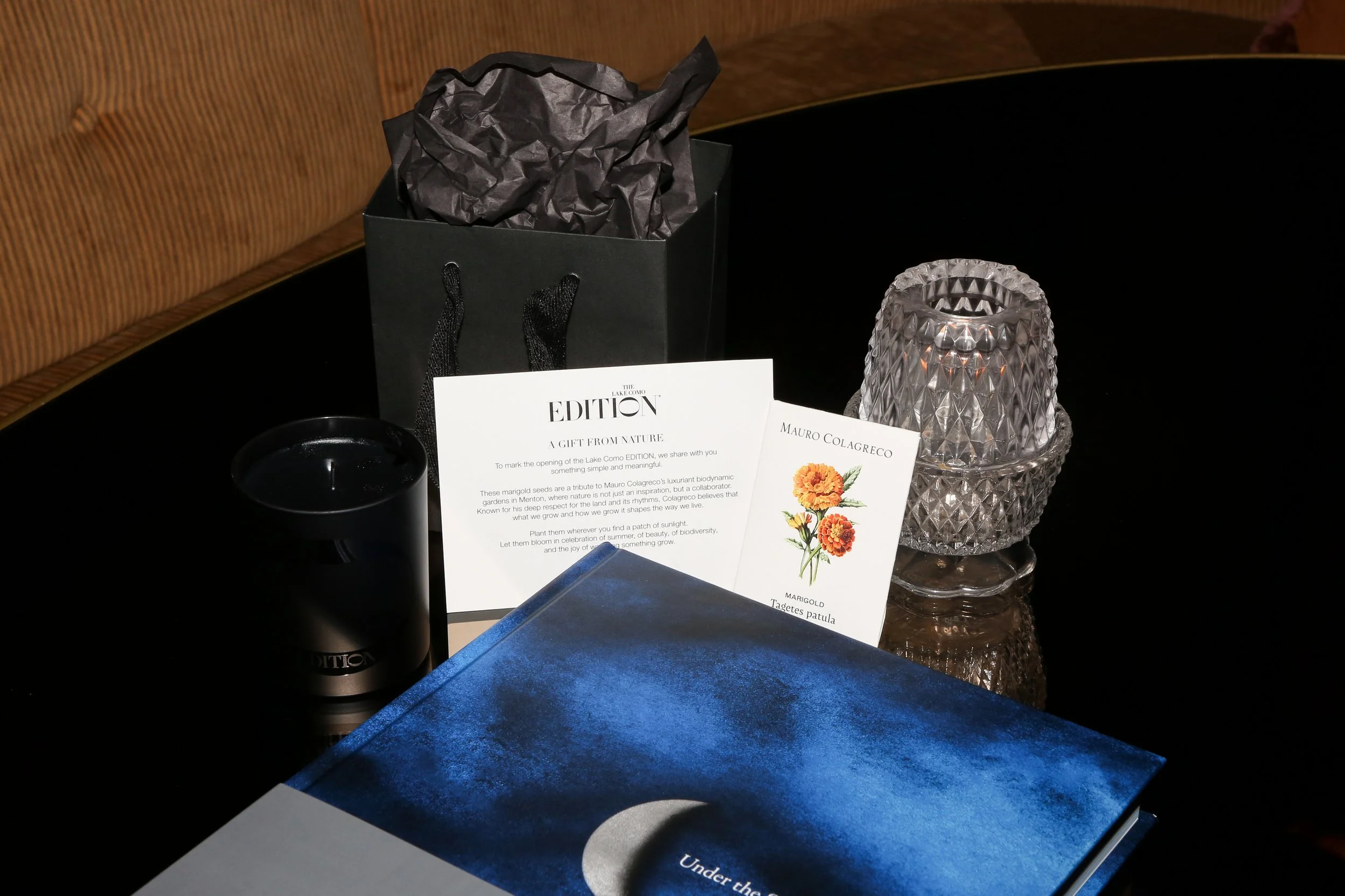 BFA_50137_7175152.jpg