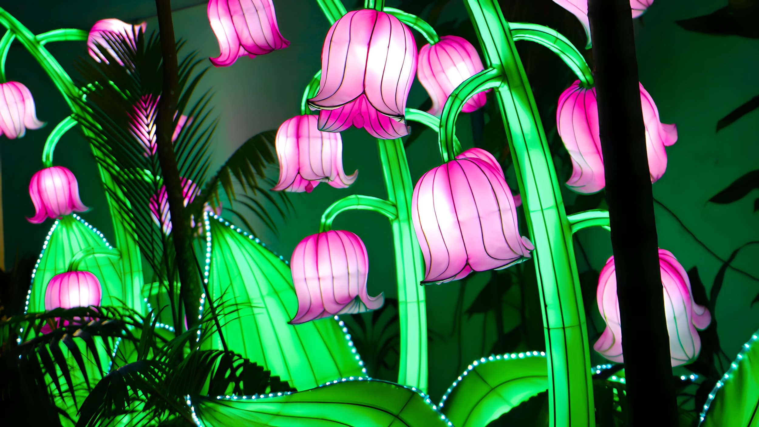 TULIP PINK 1A.jpg