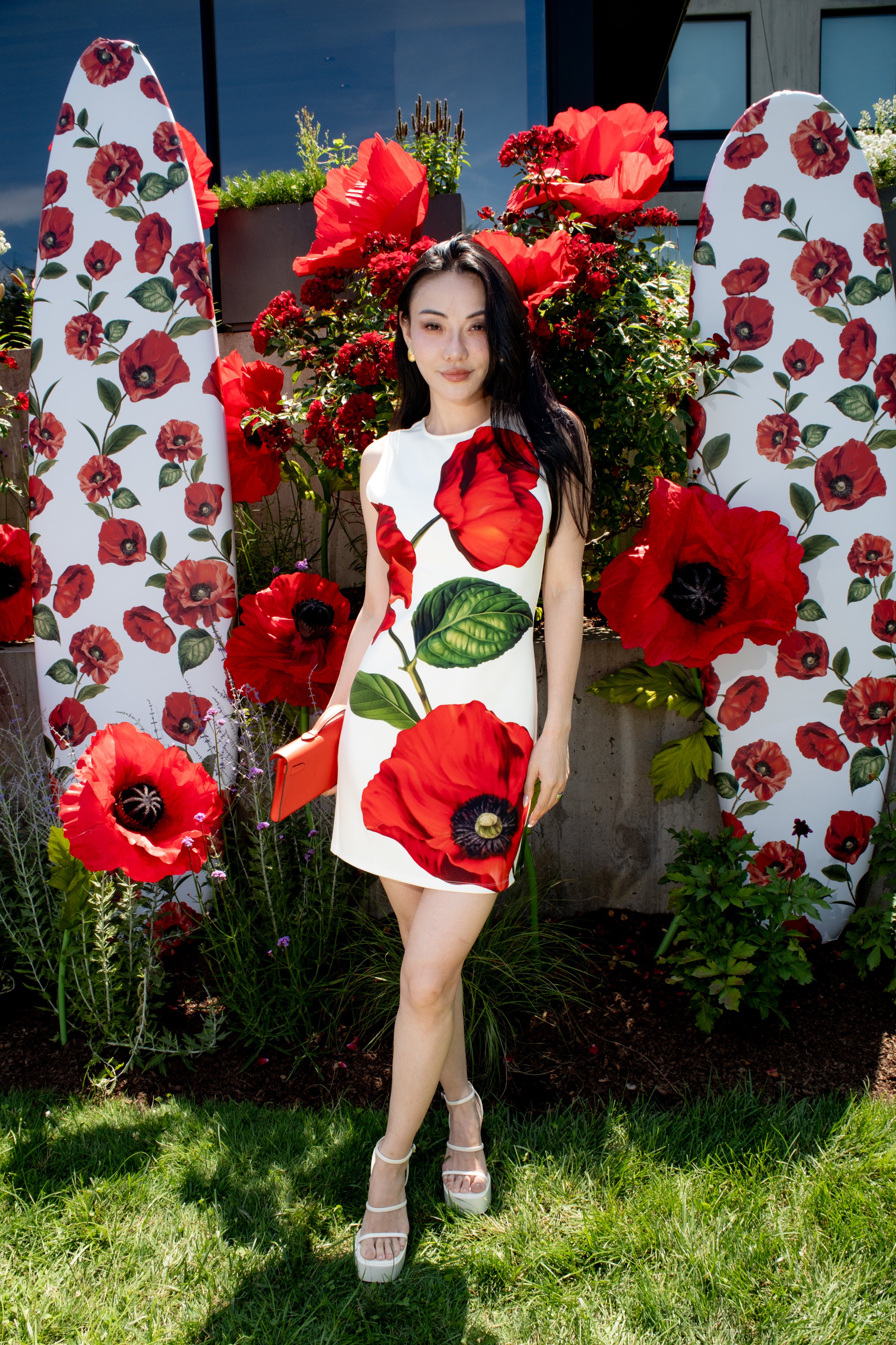 BFA_54974_8035715.jpg