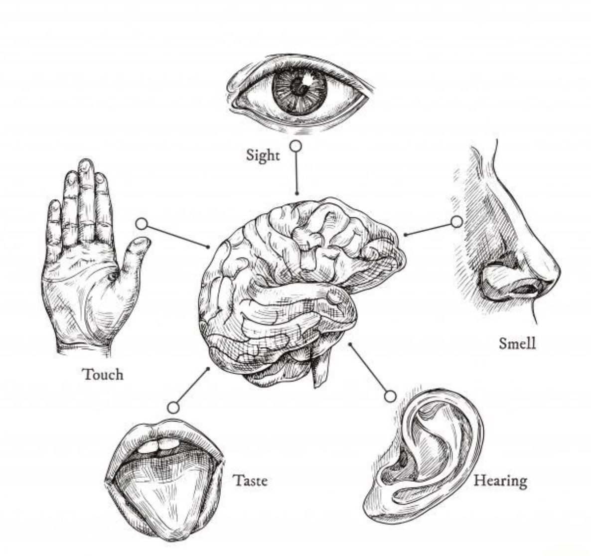 Zrzut ekranu 2026-04-7 o 13.47.22.png