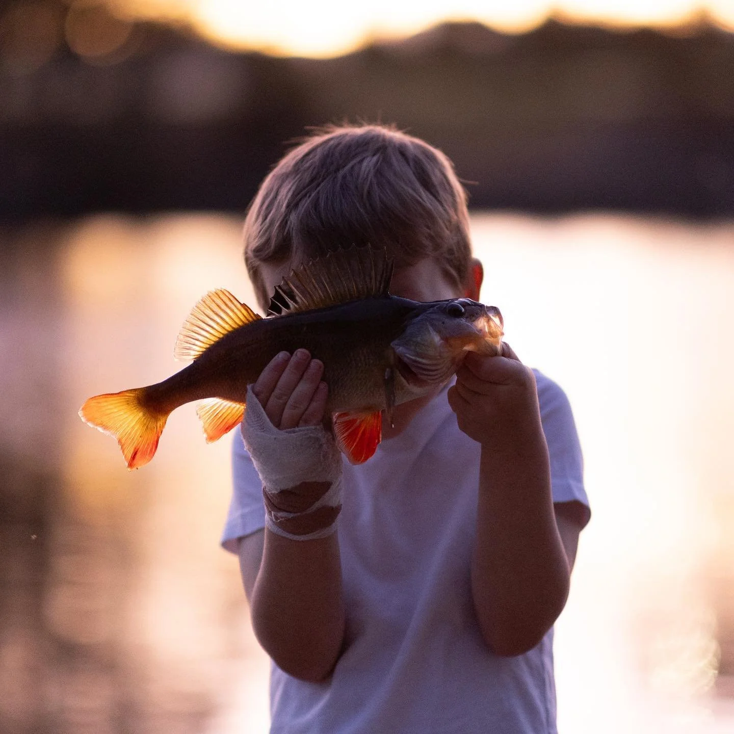 Just a boy &amp; a fish 🐟 The most beautiful and pure couple of seconds as Levi proudly showed me the fish he&rsquo;d just caught!