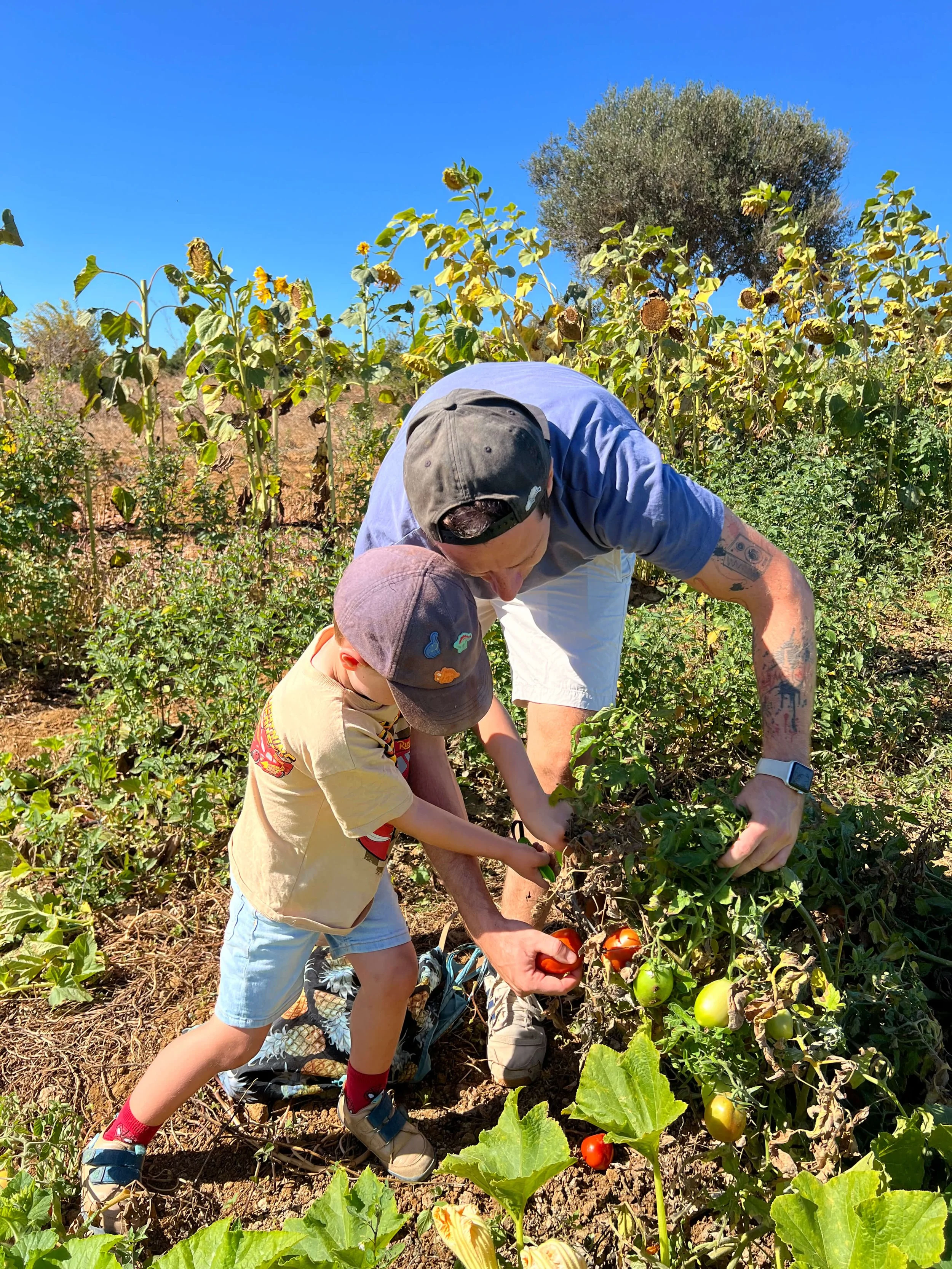 O Refúgio: A Hidden Farm Just Outside Lagos Where Kids Pick Their Own Fruits And Veggies