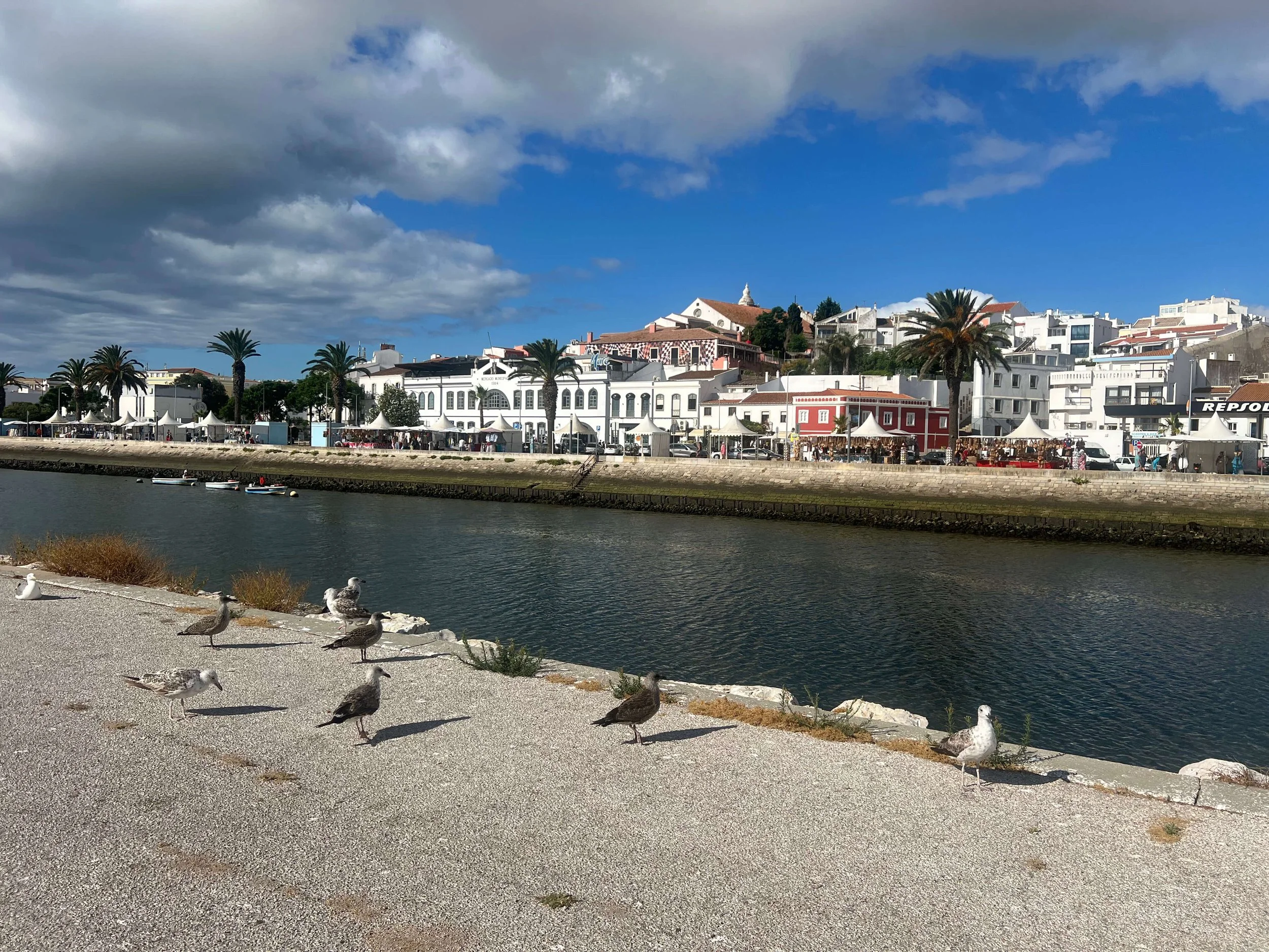 Lagos Old Town: A Family Guide to the Most Charming Town in the Algarve