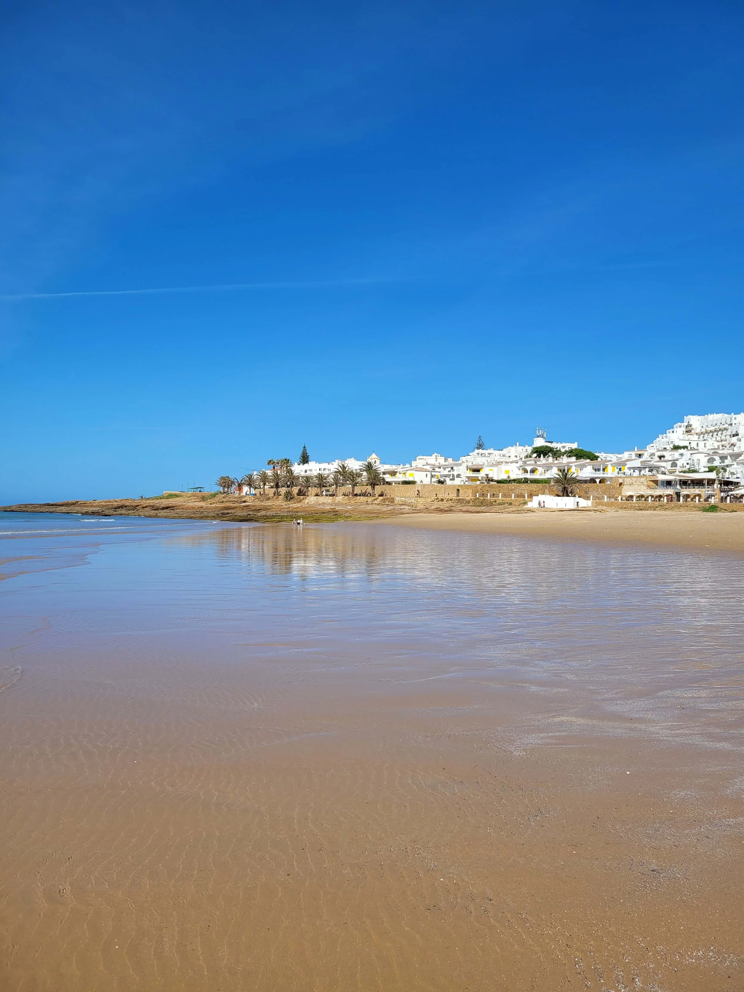Praia da Luz at low tide with reflective wet sand the whitewashed village and palm trees in the Algarve