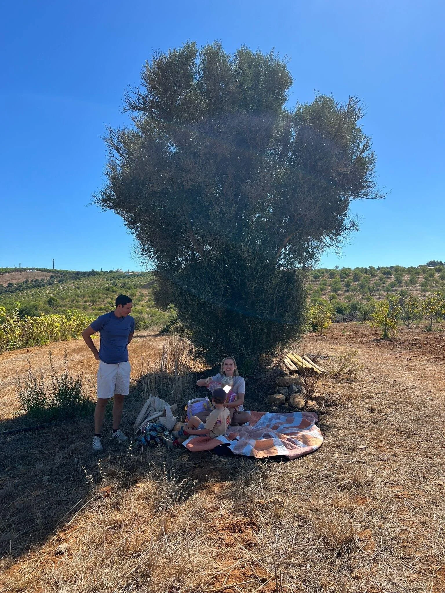 Family picnic under an olive tree at O Refugio farm near Lagos Algarve