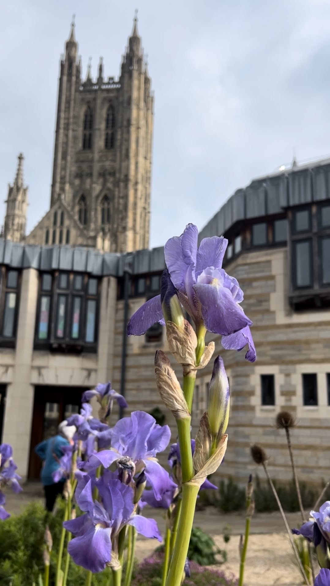 Celtic Hag Pilgrimage - Day 4
Canterbury Tales cont. Nunthing to See Here
A lovely breakfast at Canterbury Lodge fueled us up for a full day of on-and-off-the-bussing starting with Chilham. This quintessential old English town is little more than a