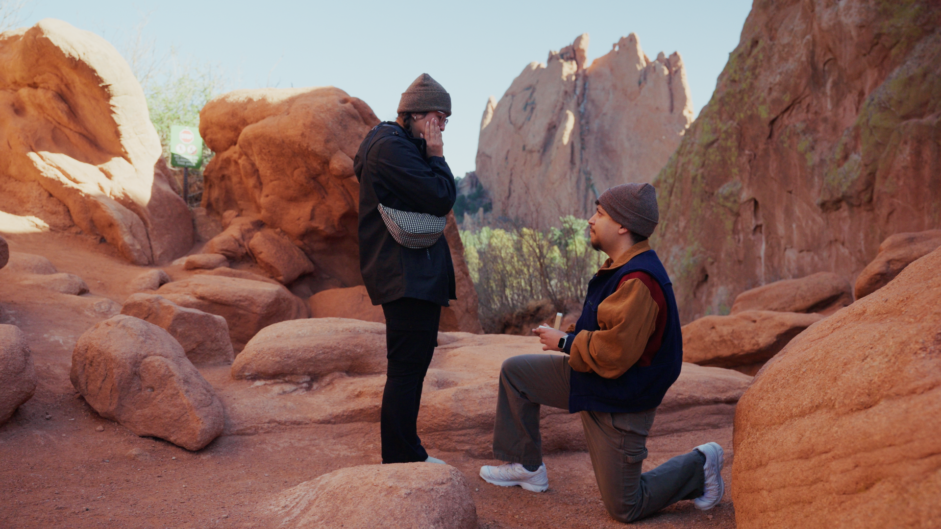 Adrian & Dardi | Proposal