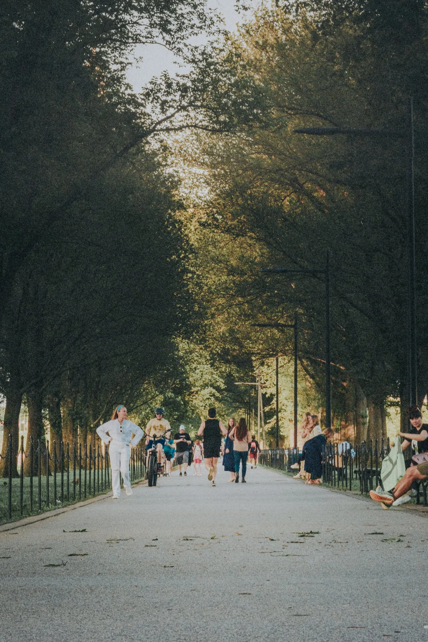 People walking and sitting in a Washington DC park with tall trees, fence, and lampposts, during daytime.