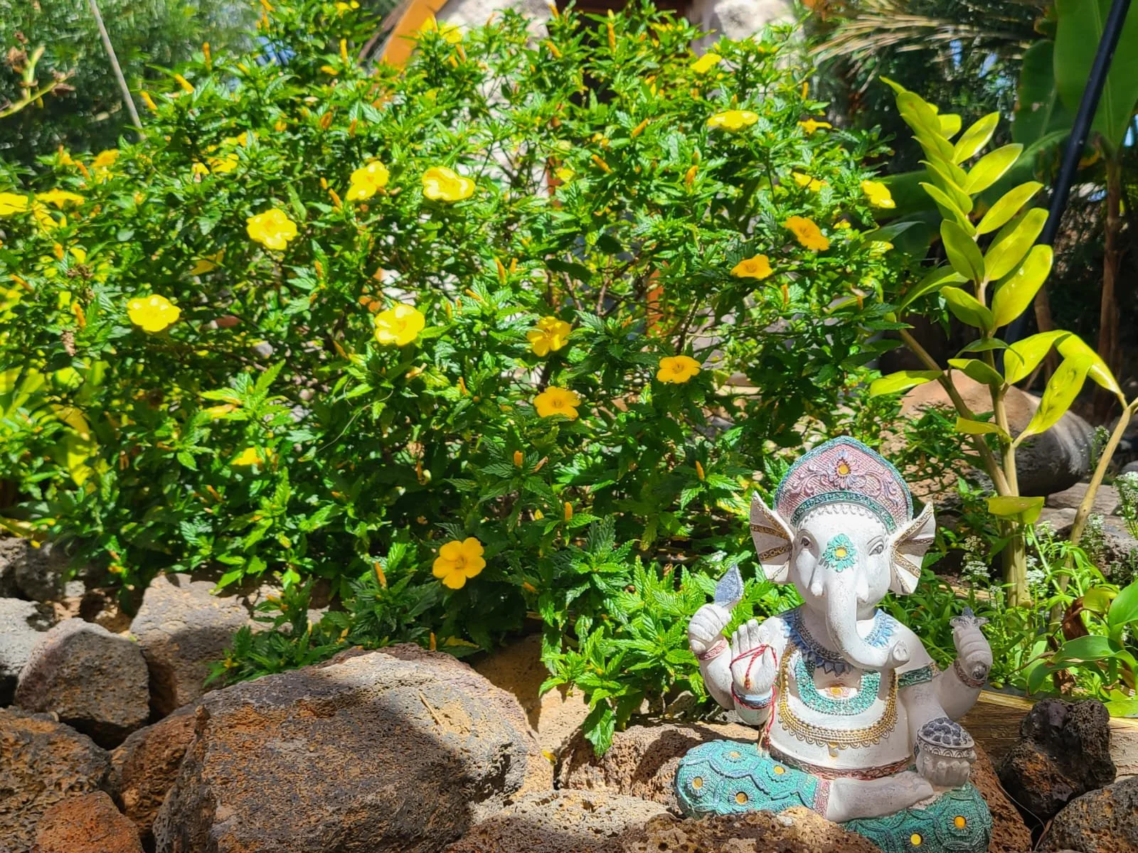 A small decorative statue of the Hindu god Ganesha with a white body and colorful details, sitting on rocks amidst lush green plants and yellow flowers, in a garden setting.