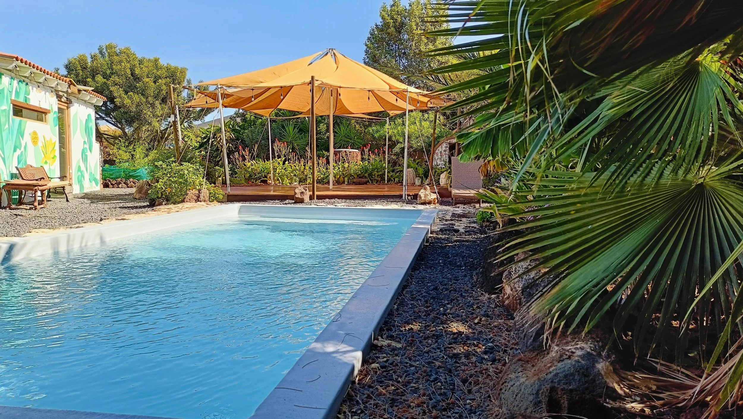 A backyard with a swimming pool, a yellow canopy, lush greenery, a painted shed, and a wooden deck with plants.