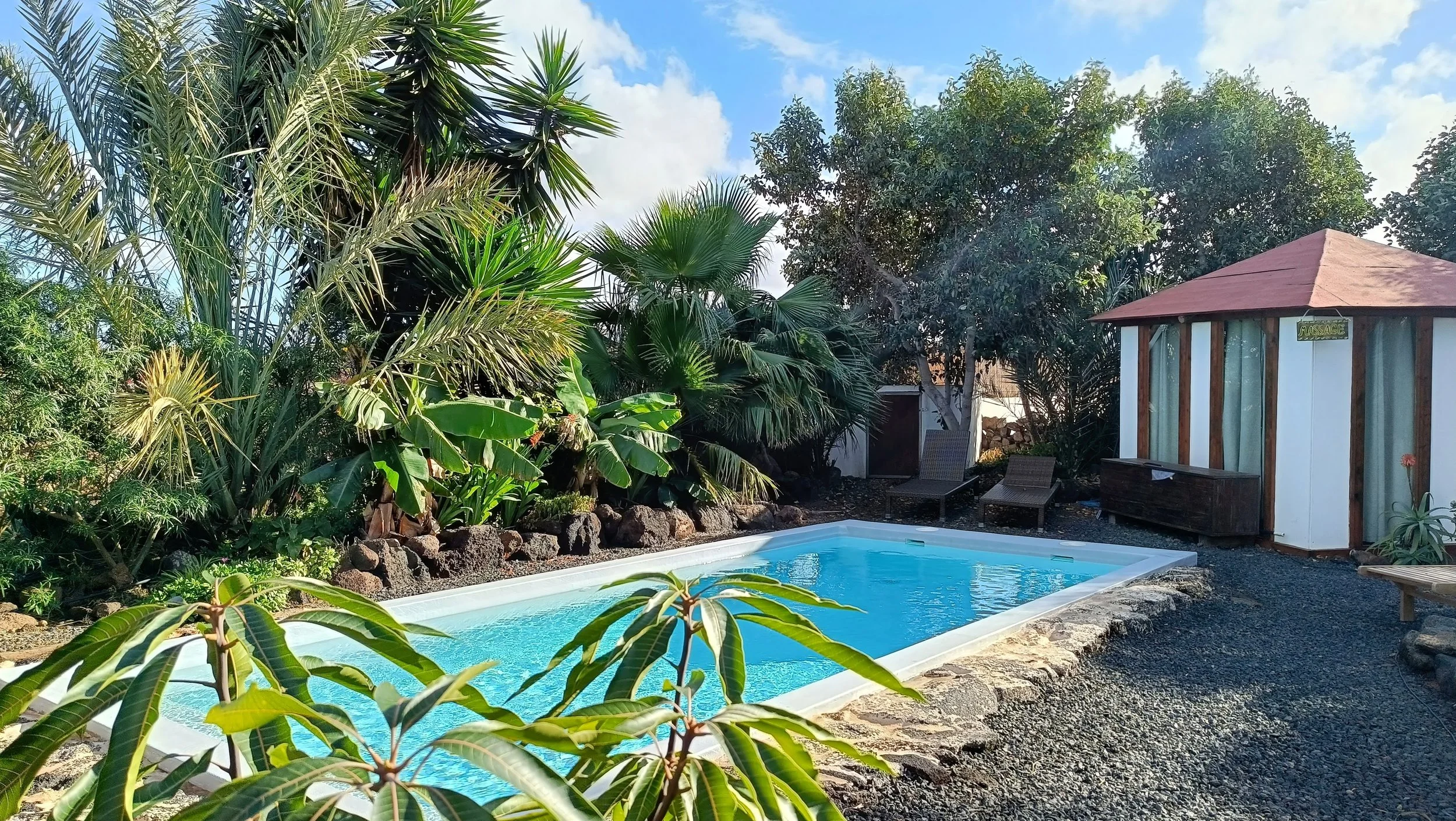 Private backyard with a small swimming pool, surrounded by tropical plants and trees, with lounge chairs and a shed labeled 'Massage' in the background.