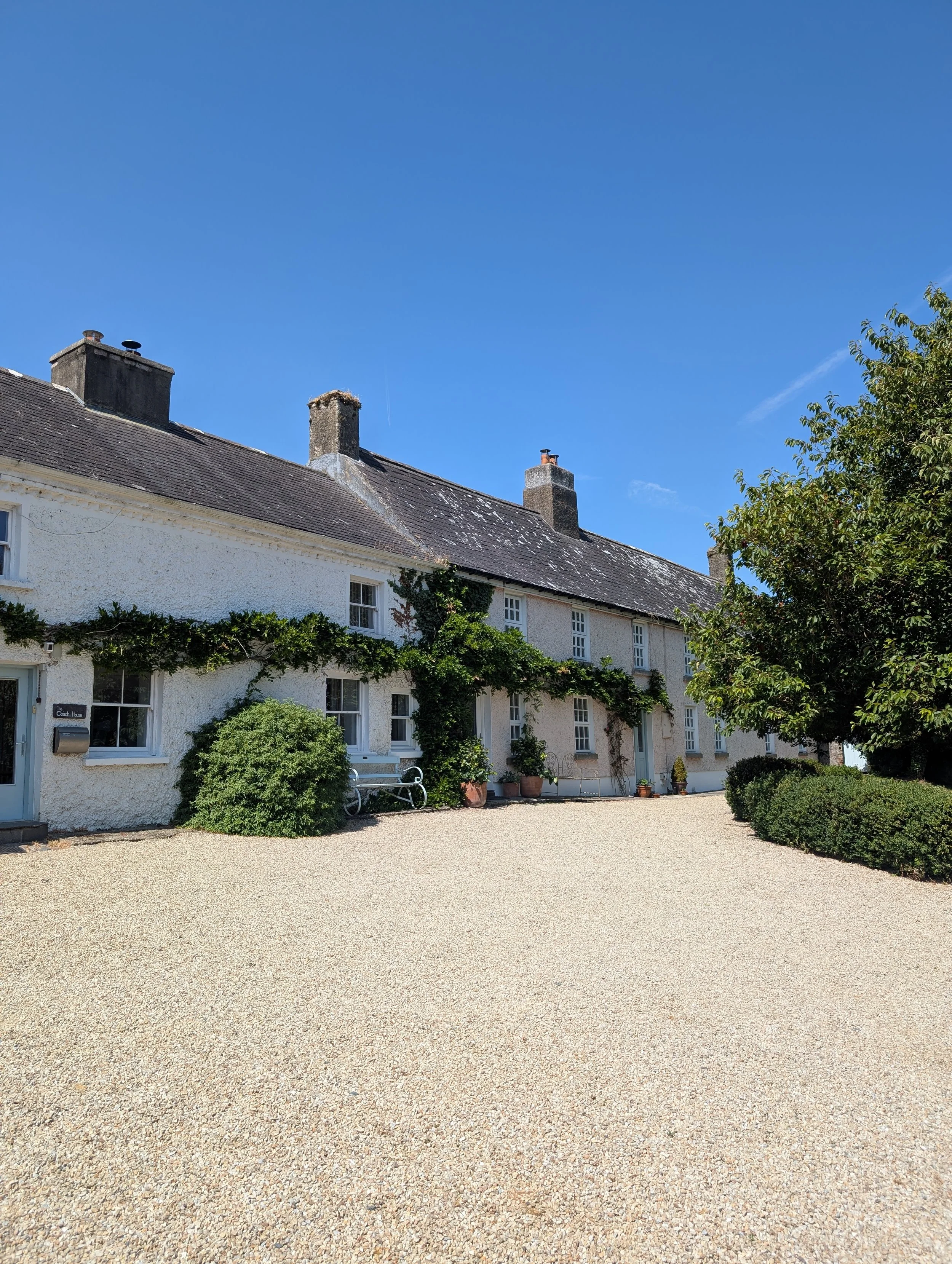 Discover the stunning Wicklow retreat venue—peaceful surroundings, serene views, and a perfect setting for deep somatic healing and transformation.