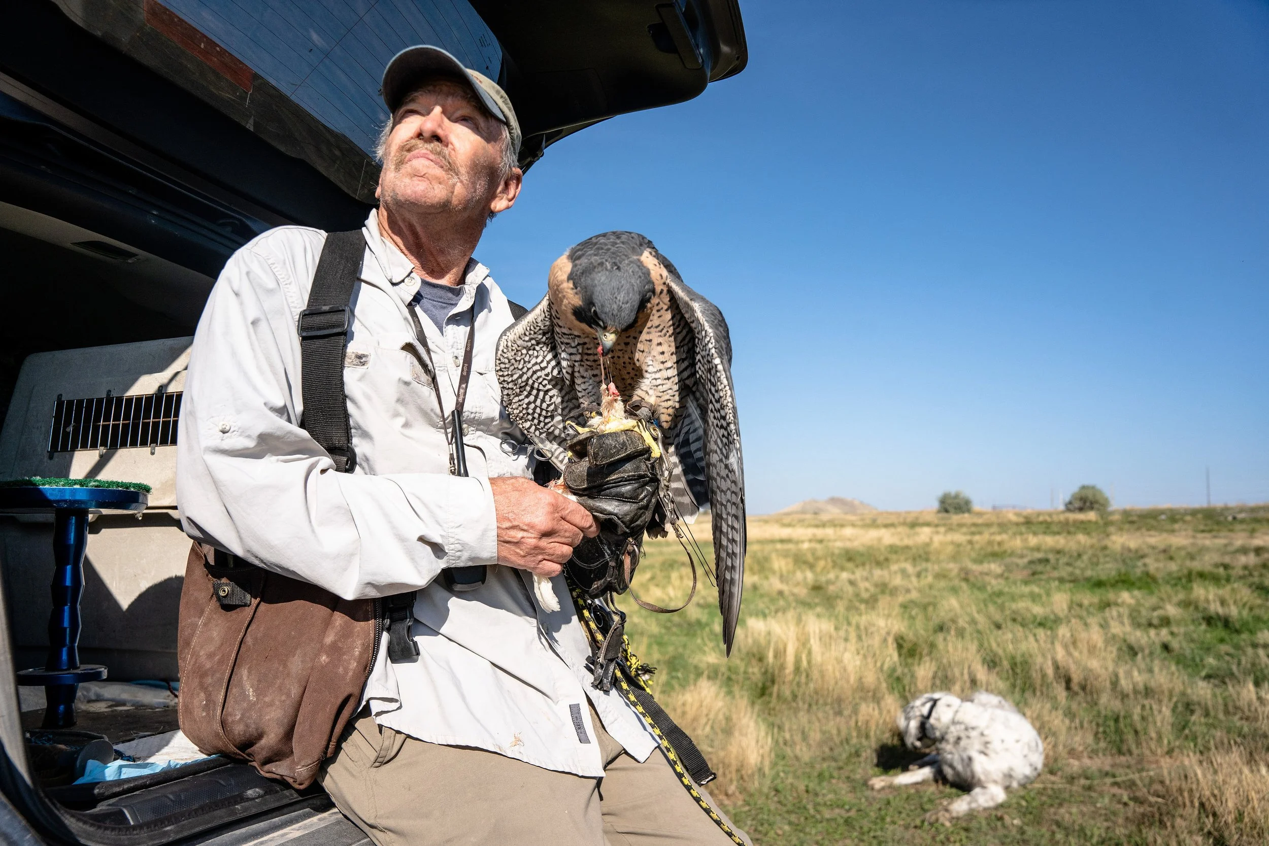20221006-20221006-10062022-JaySumner-Falconry-KyleStansbury-0213.jpg