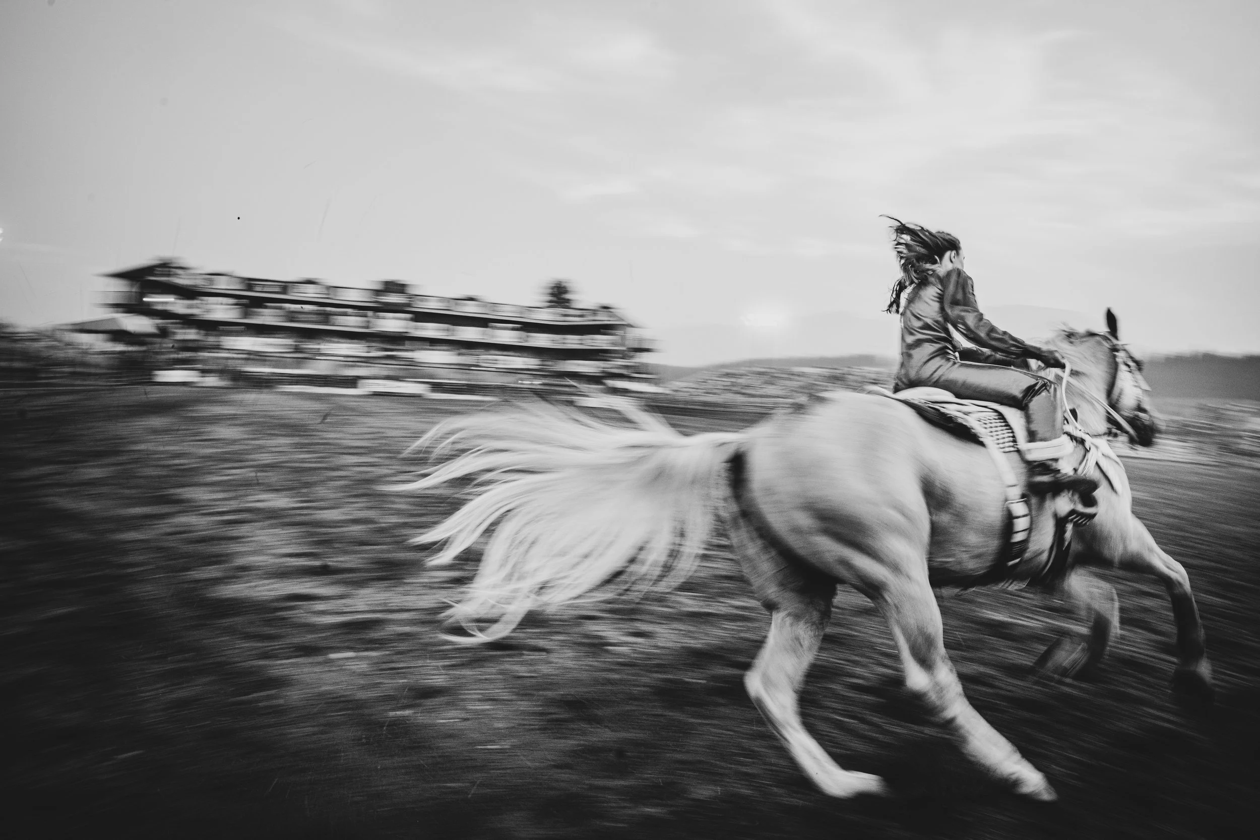 Rodeo Dreams