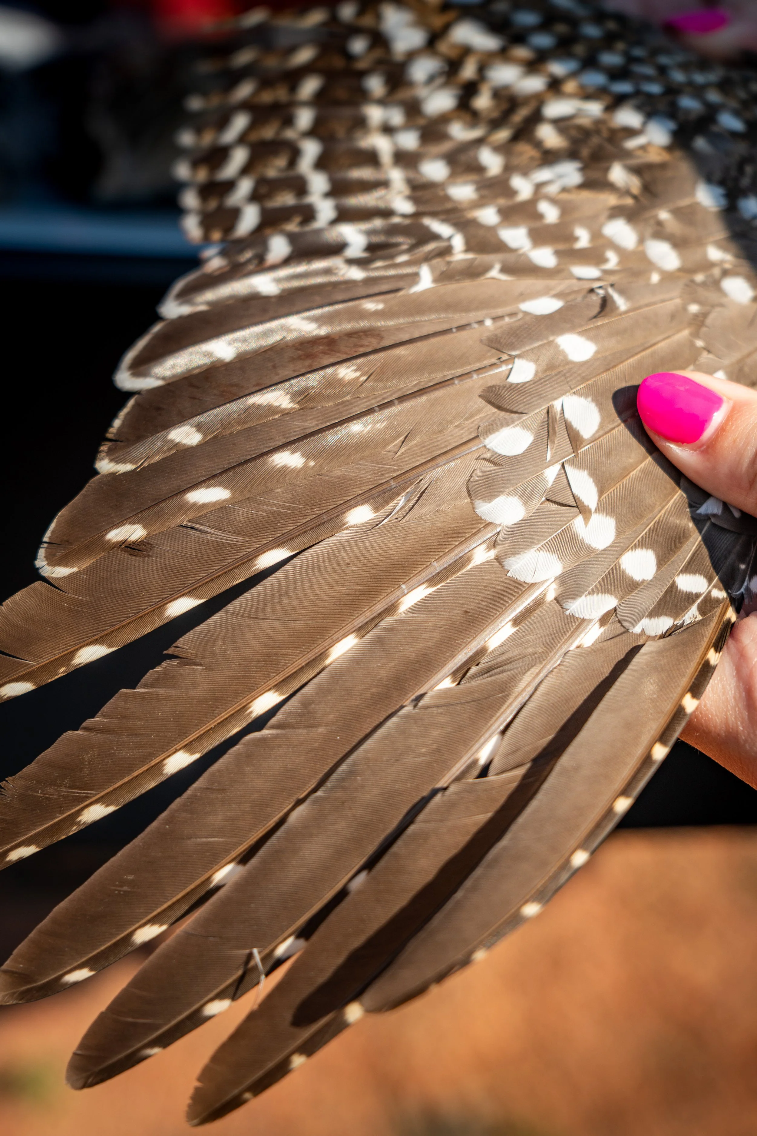20260816-SMART-PheasantHunt-KyleStansburyPhotography-0132 (1).jpg
