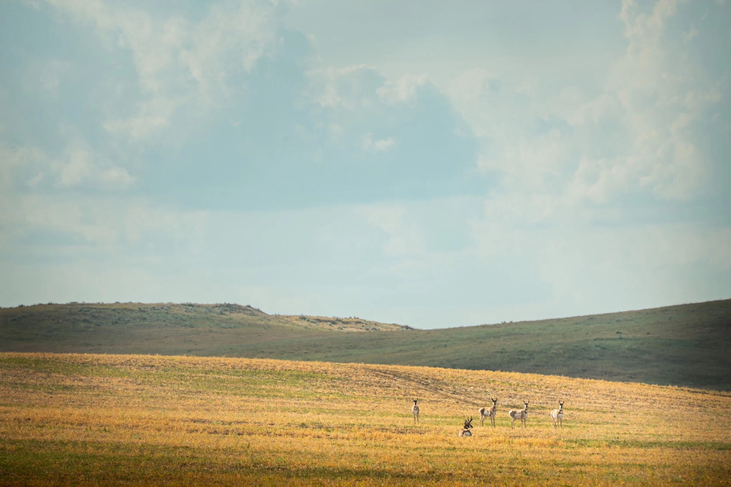 20260815-SMART-Stock-KyleStansburyPhotography-0184.jpg