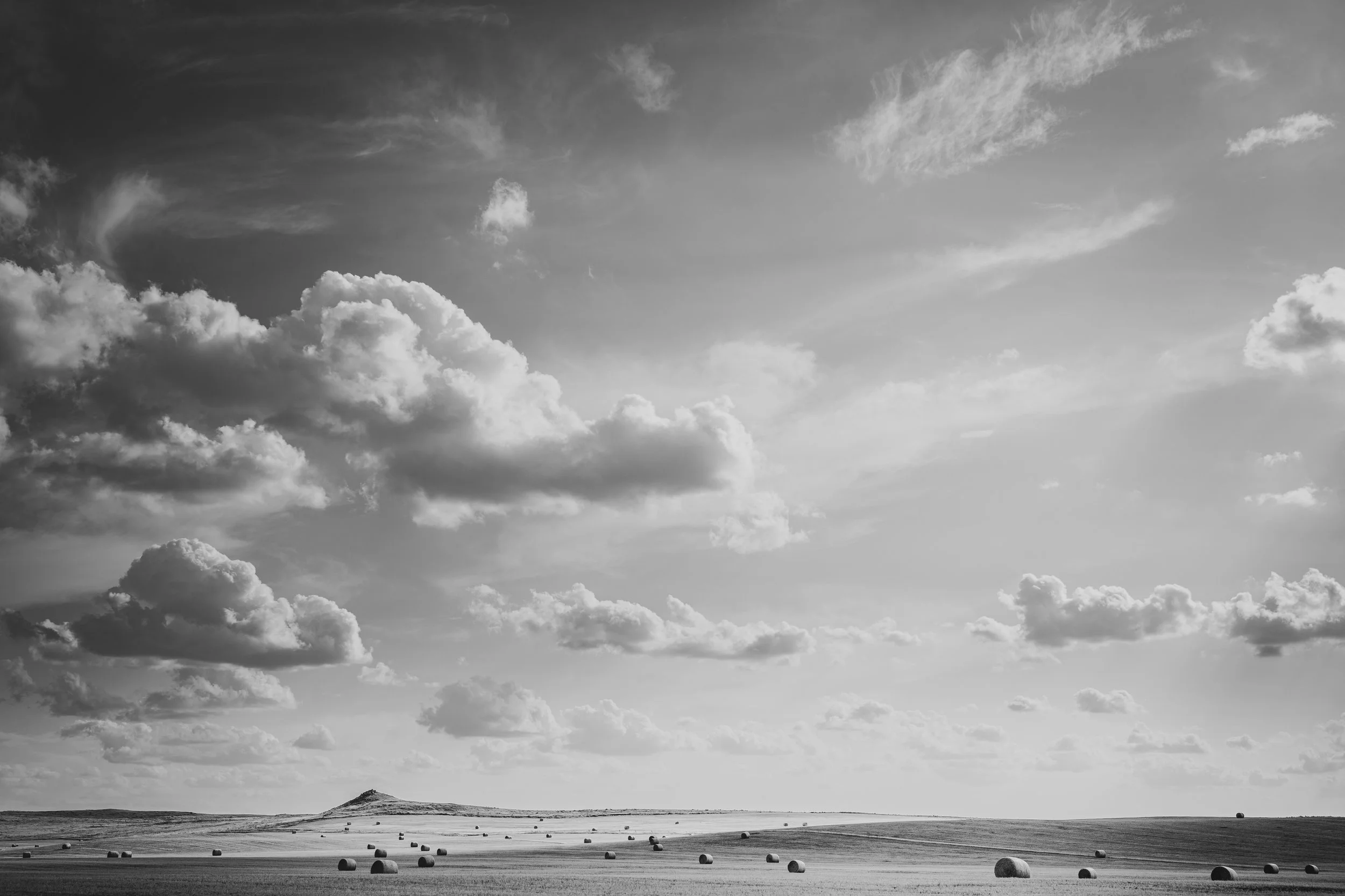 20260815-SMART-Stock-KyleStansburyPhotography-0165-2 (1).jpg