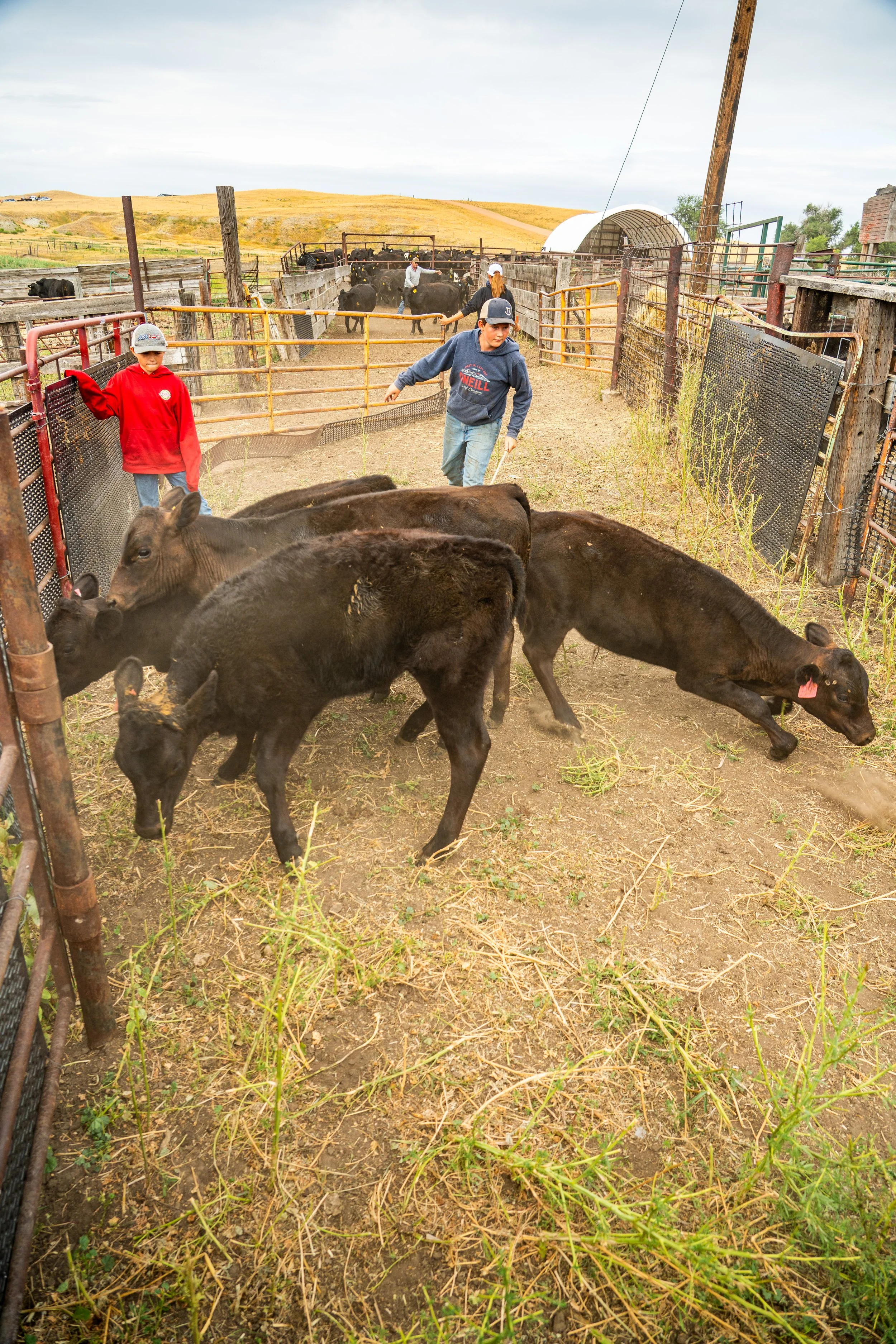 20260814-SMART-O'DonnellRanch-KyleStansburyPhotography-0031-2.jpg