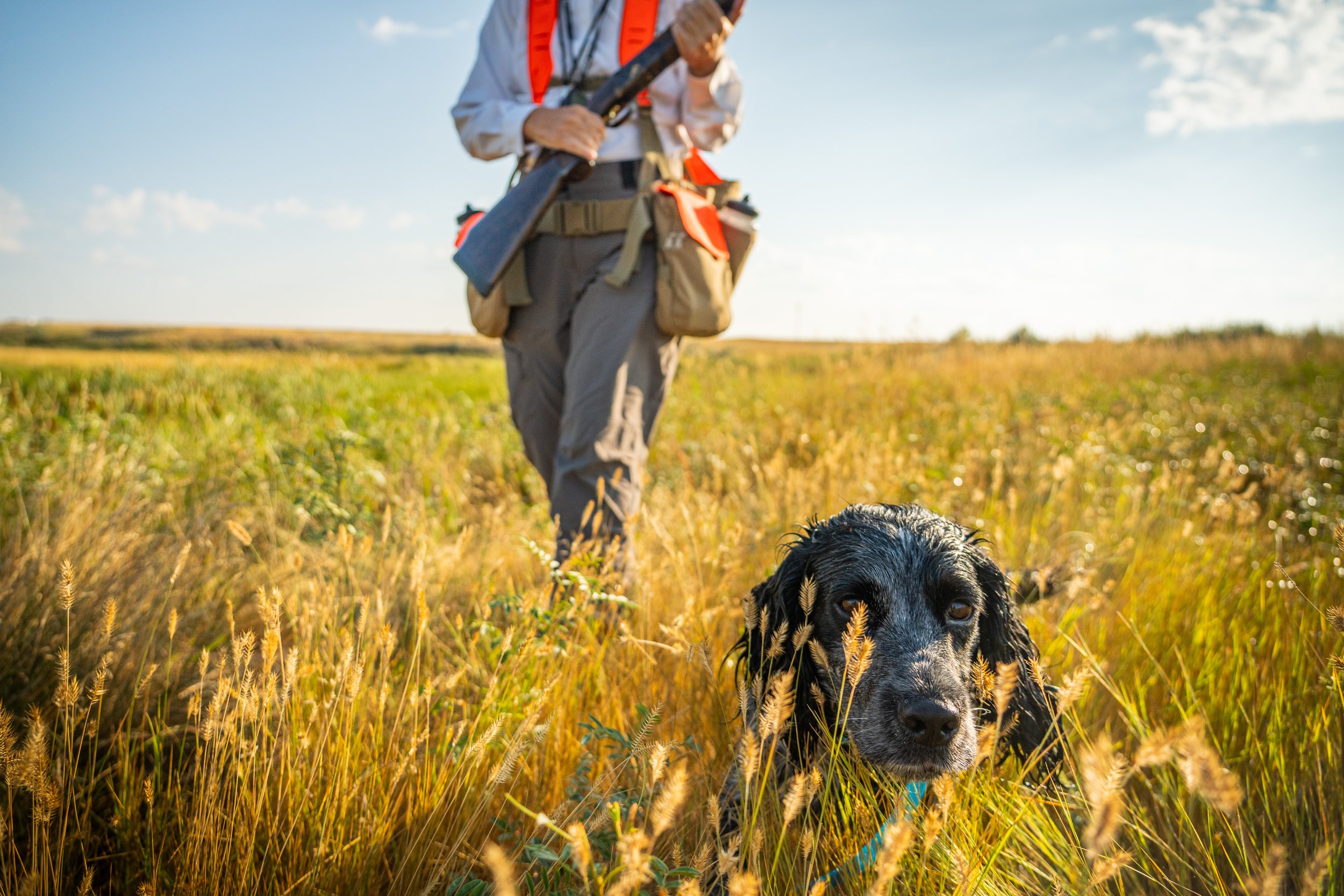 20260816-SMART-PheasantHunt-KyleStansburyPhotography-0029 (1).jpg