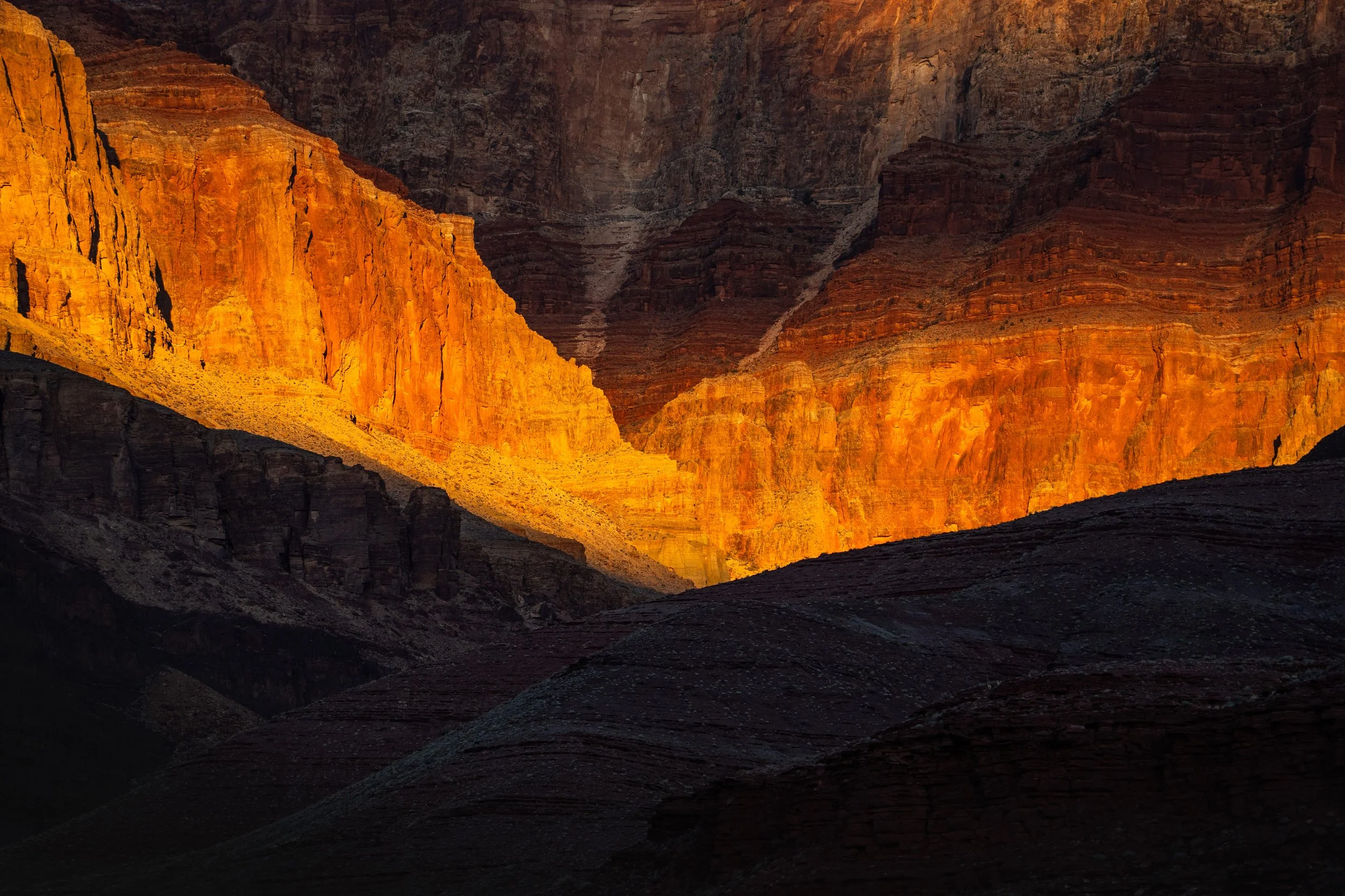 20260216-GrandCanyon-KyleStansburyPhotography-0159.jpg