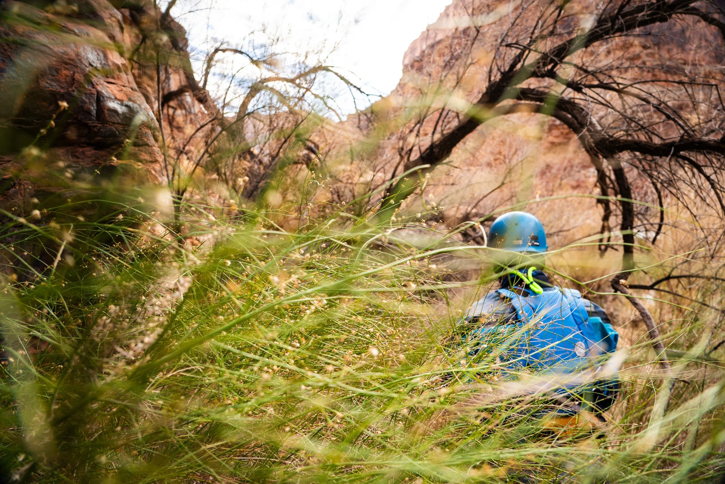 20260212-GrandCanyon-KyleStansburyPhotography-0051.jpg