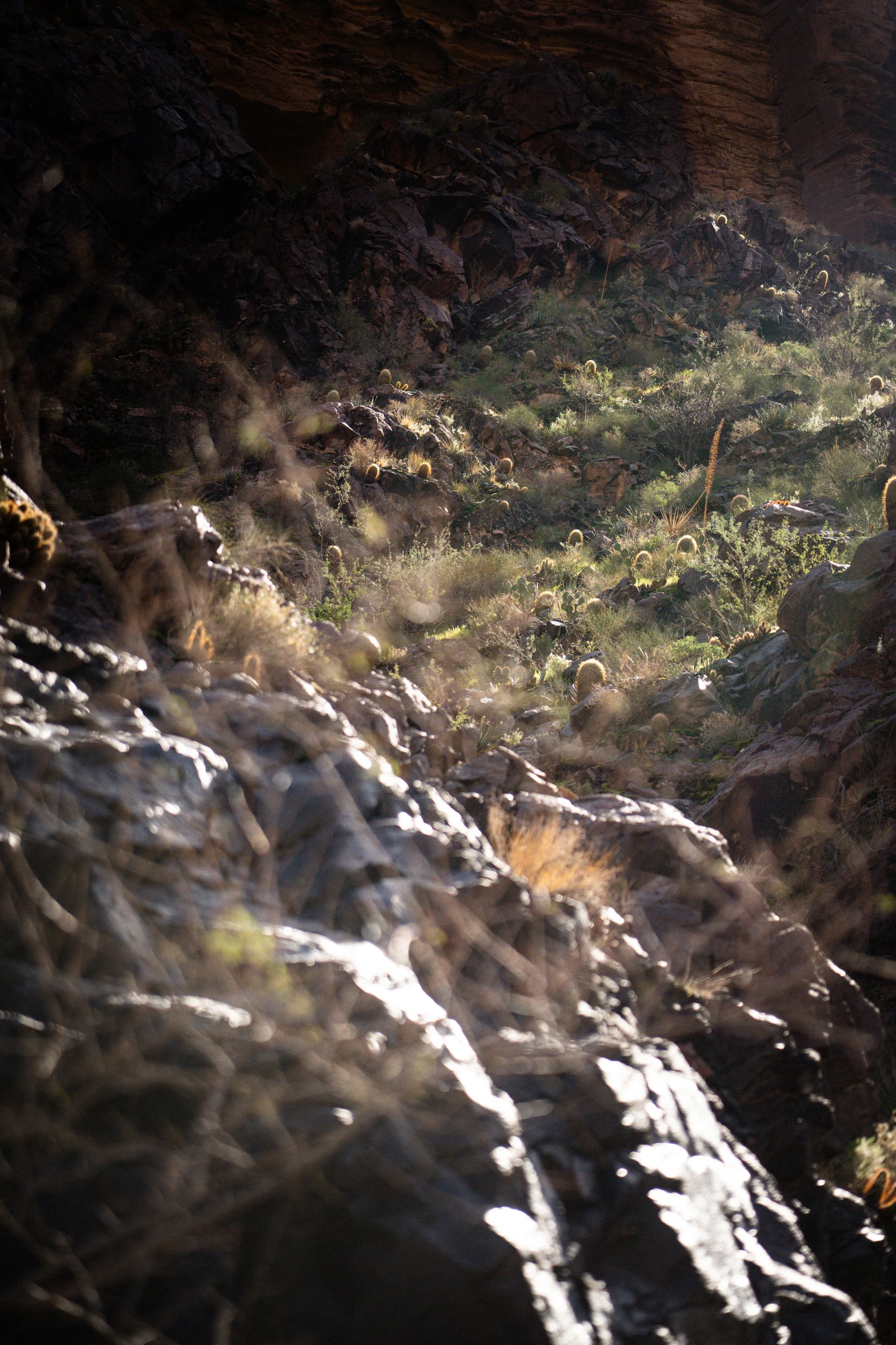 20260223-GrandCanyon-KyleStansburyPhotography-0297.jpg