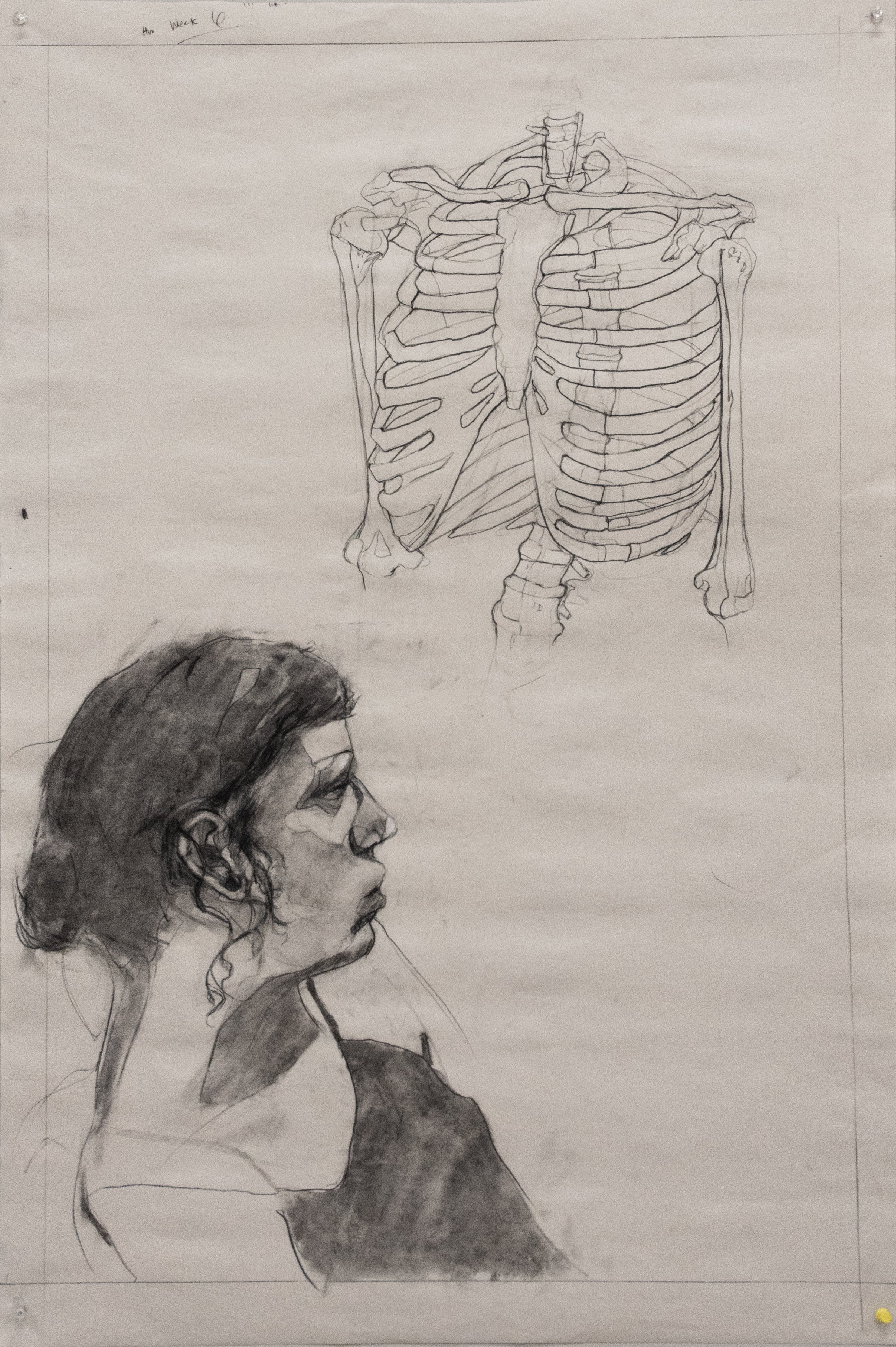 Drawing 2 Student Spring 2026