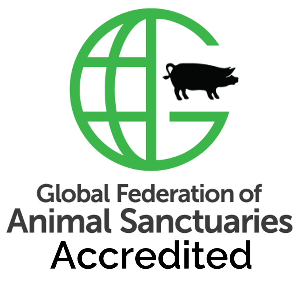Merrymac Farm Sanctuary