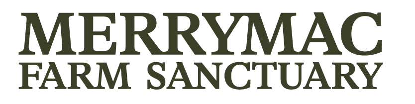 Merrymac Farm Sanctuary