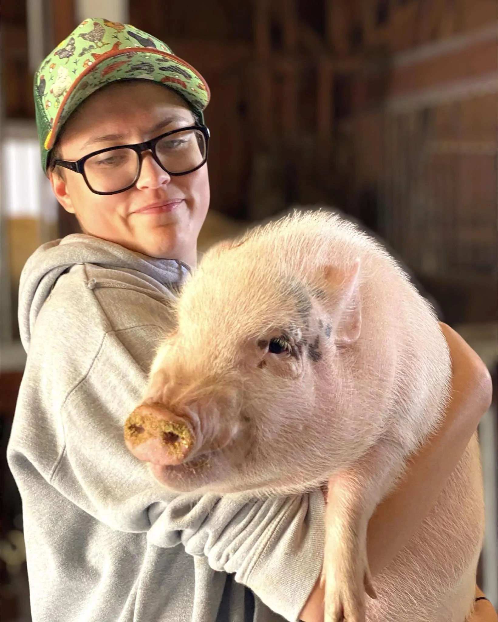 About Us Merrymac Farm Sanctuary about-us-merrymac-farm-sanctuary