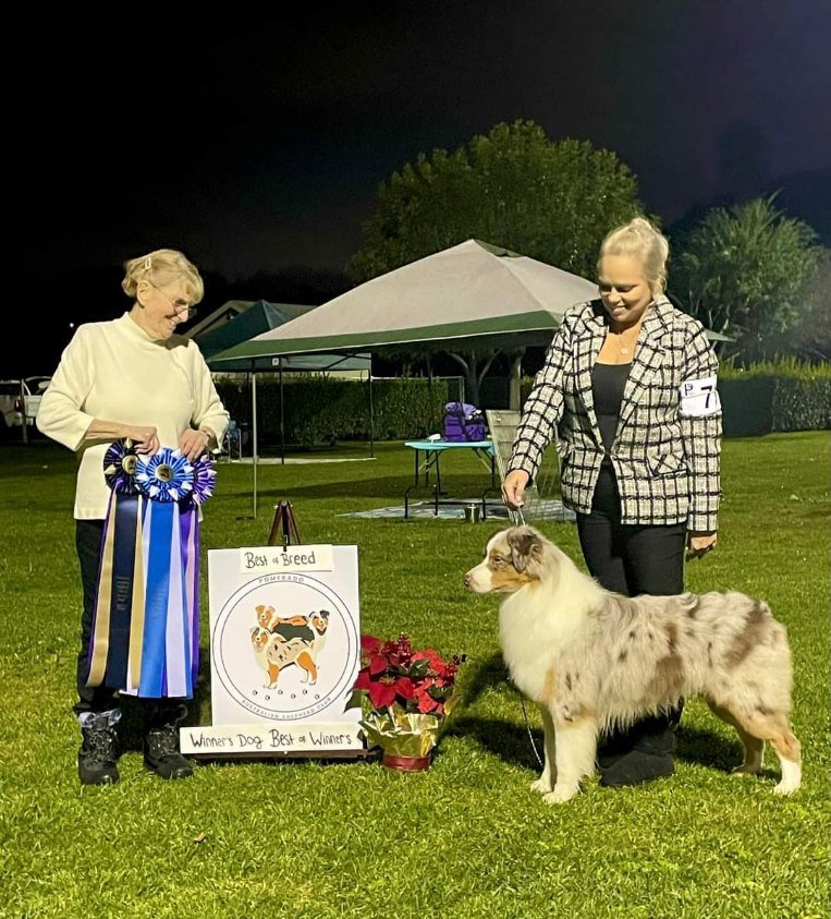 Lynda Peppel WD.jpg