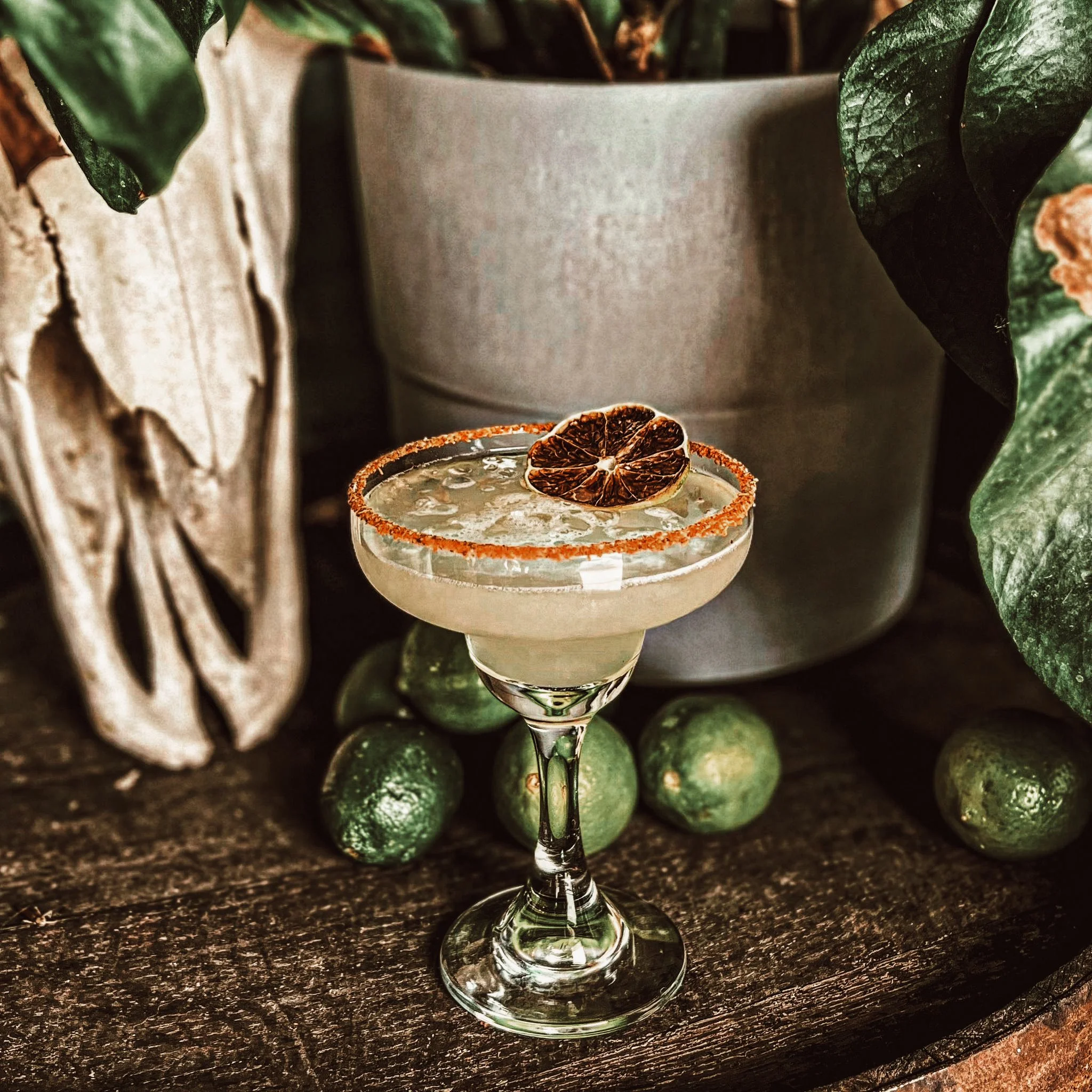A margarita cocktail garnished with a dried lime wheel and rimmed with chili powder, placed on a rustic wooden surface surrounded by whole limes and green plants.