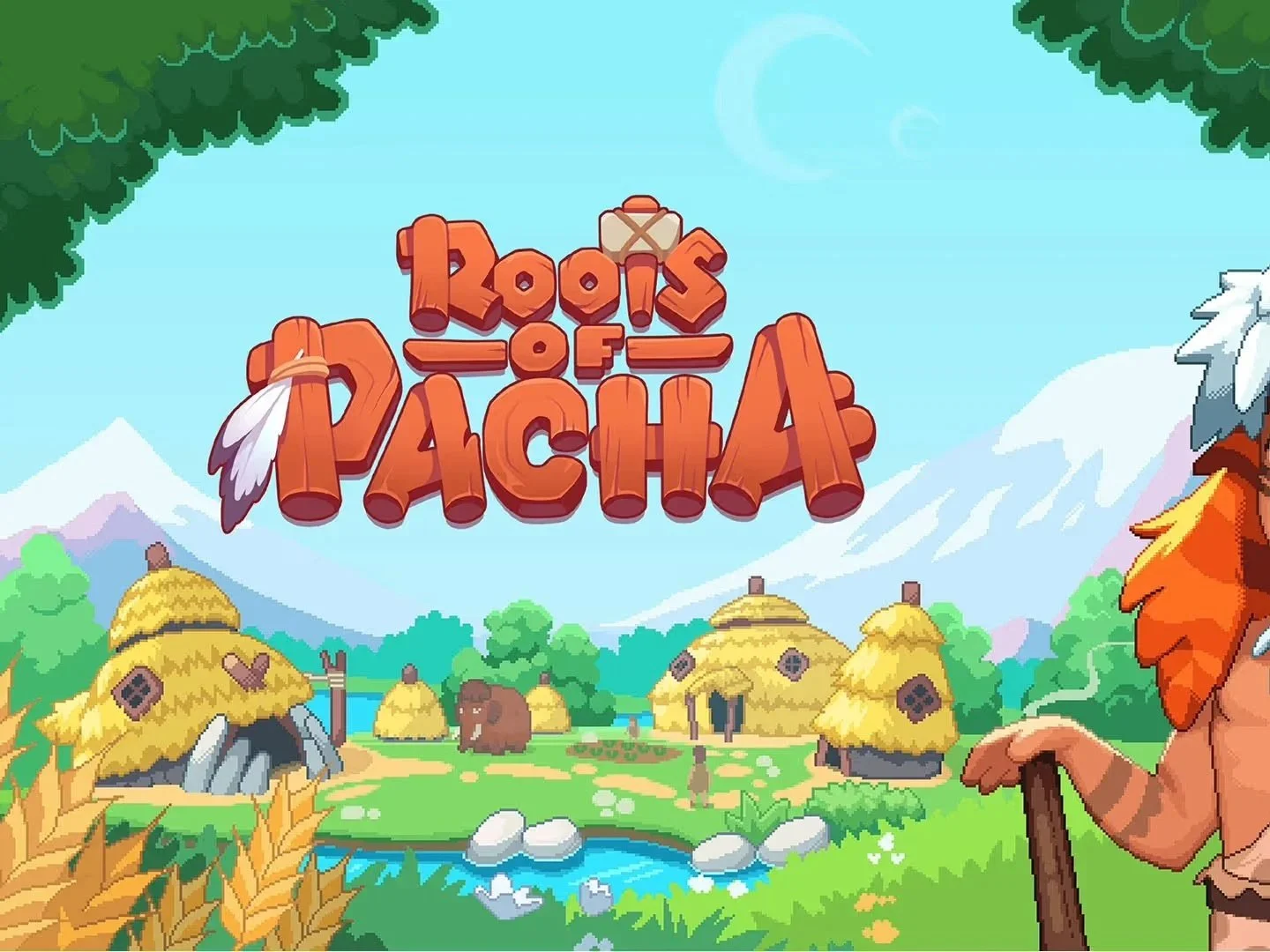 Roots of Pacha