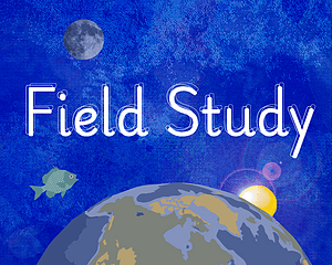 Field Study