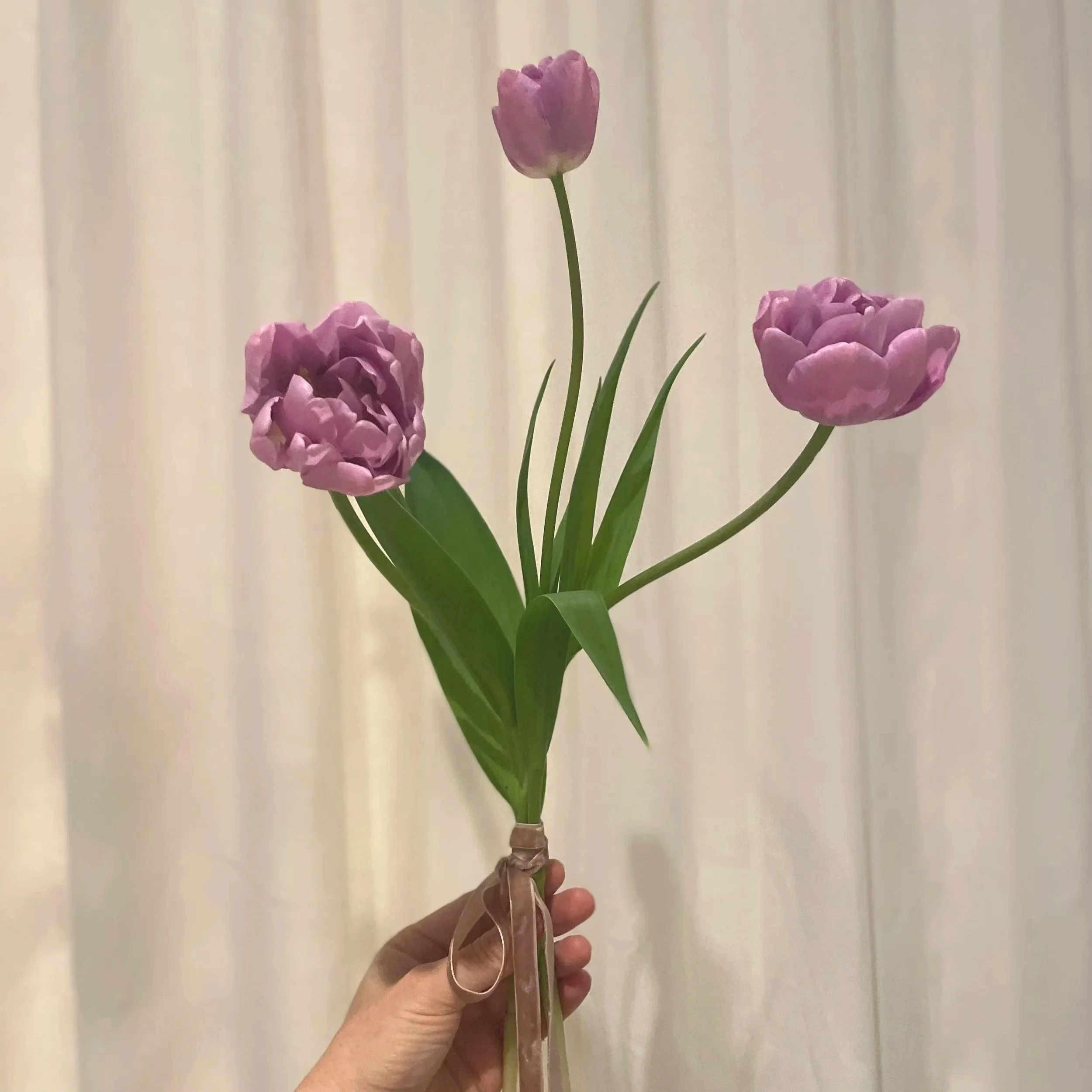 'Kickstart', the smokiest yummy lilac with alllll of the ruffles.