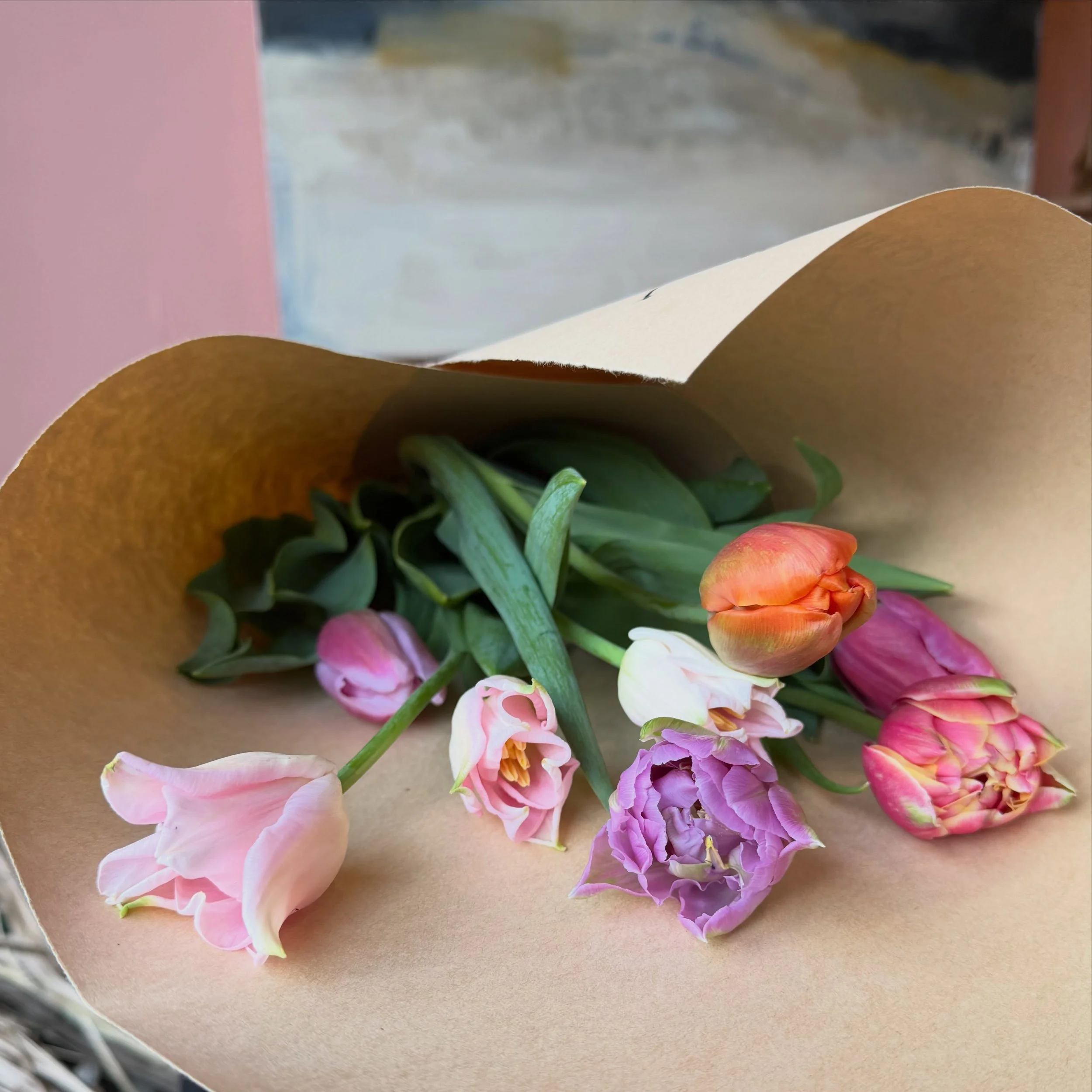 Weekend shed tulips!
There are only a couple of tulip weeks left, popping out some bunches this Sunday morning for you. 

You can order larger midweek flowers via dm or my website for pick up or delivery x