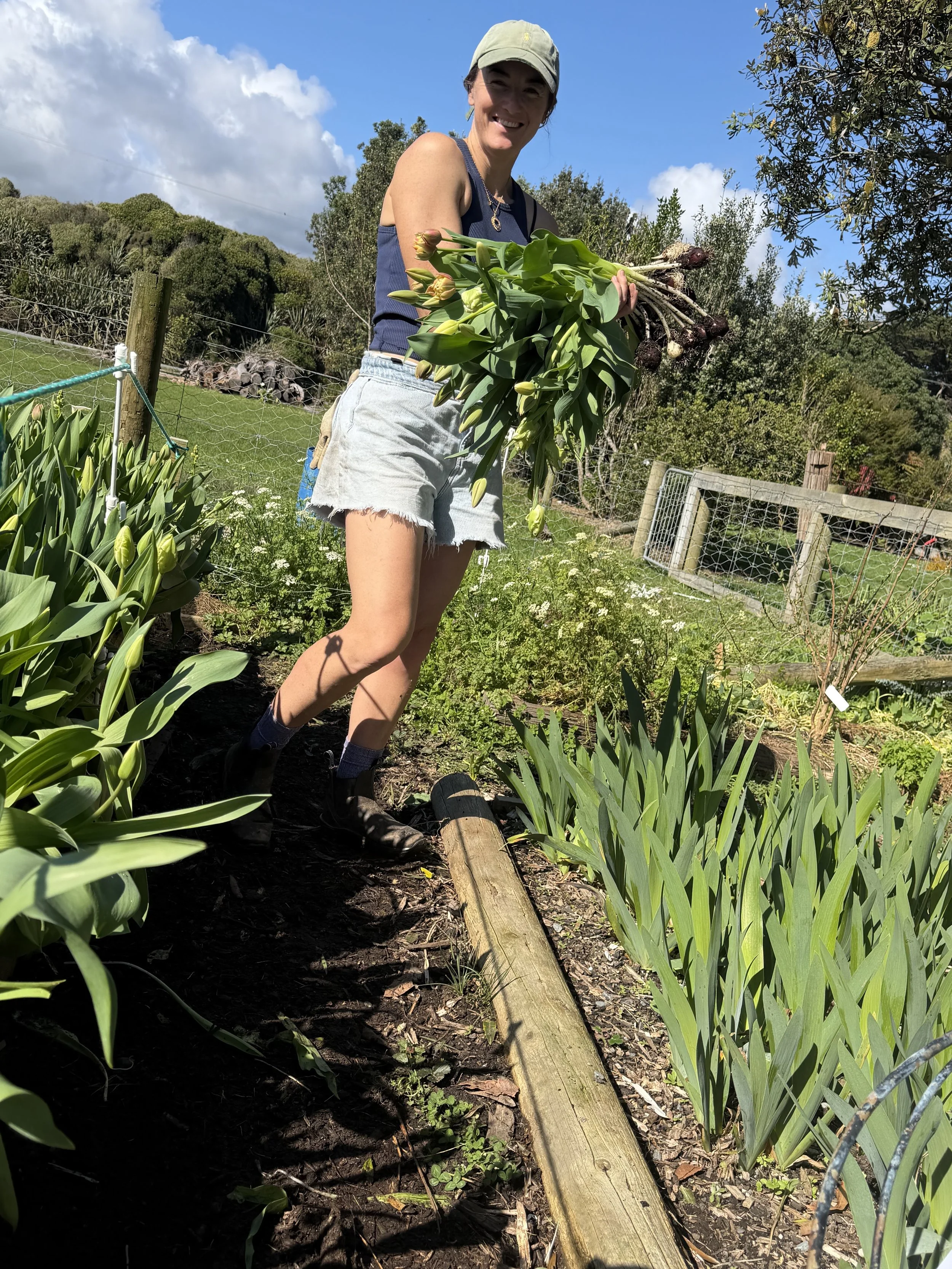 Picking the tulips.jpg