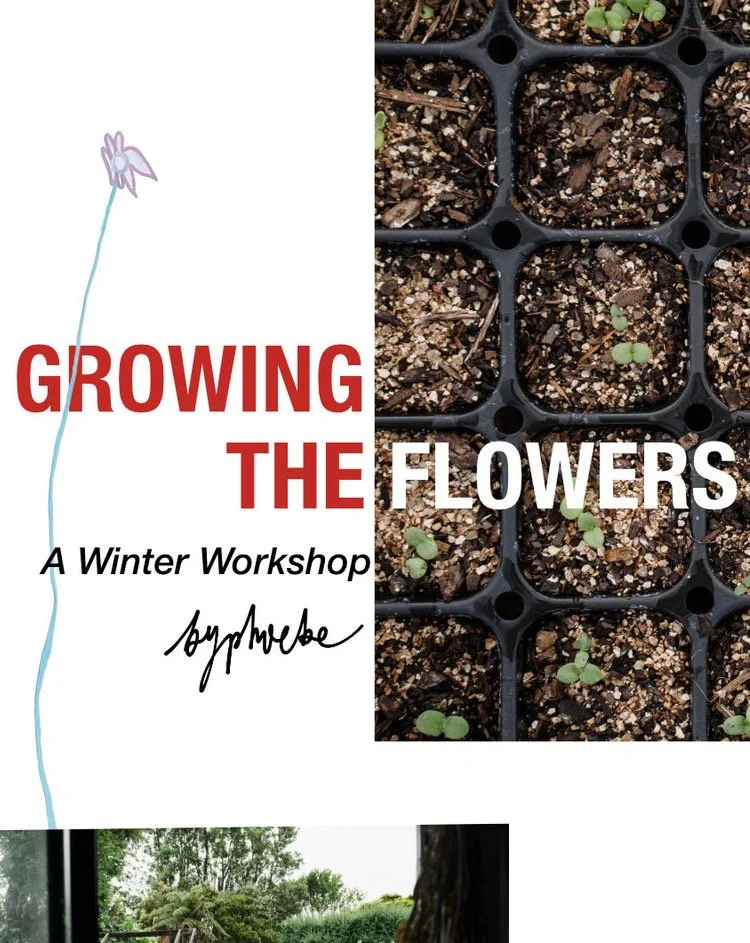 Winter Workshop copy.jpeg