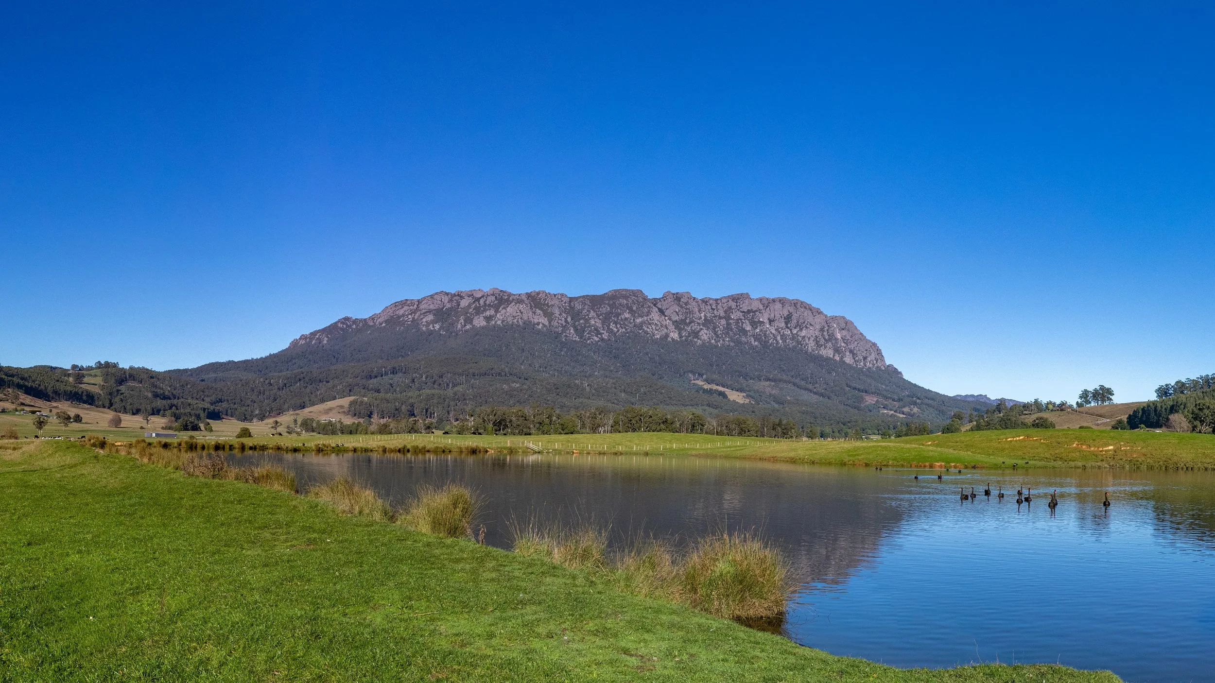 28th June 2021 - Mt Roland
